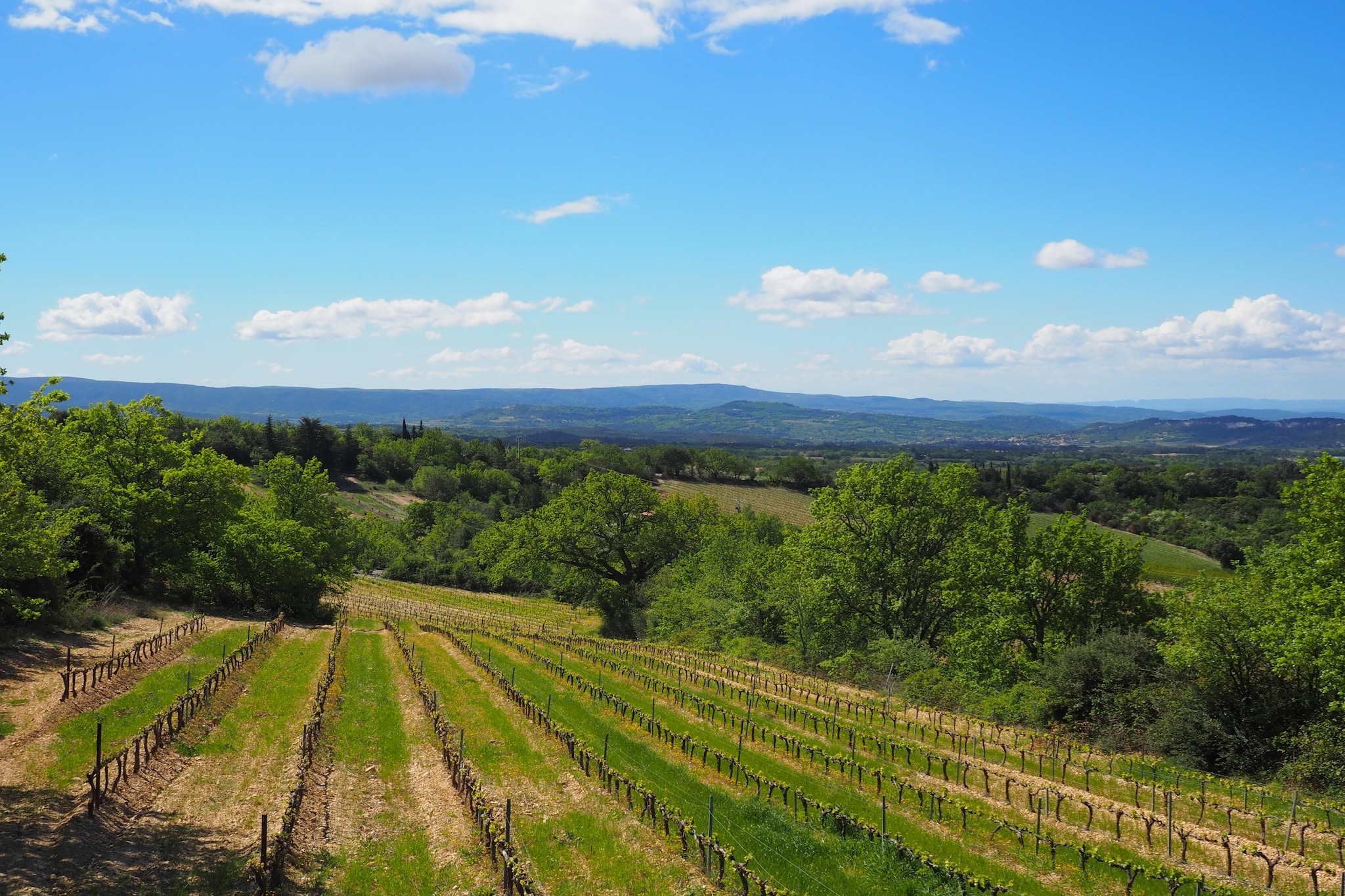 Doppelhaushälfte in Bédoin-Uitzicht zomer