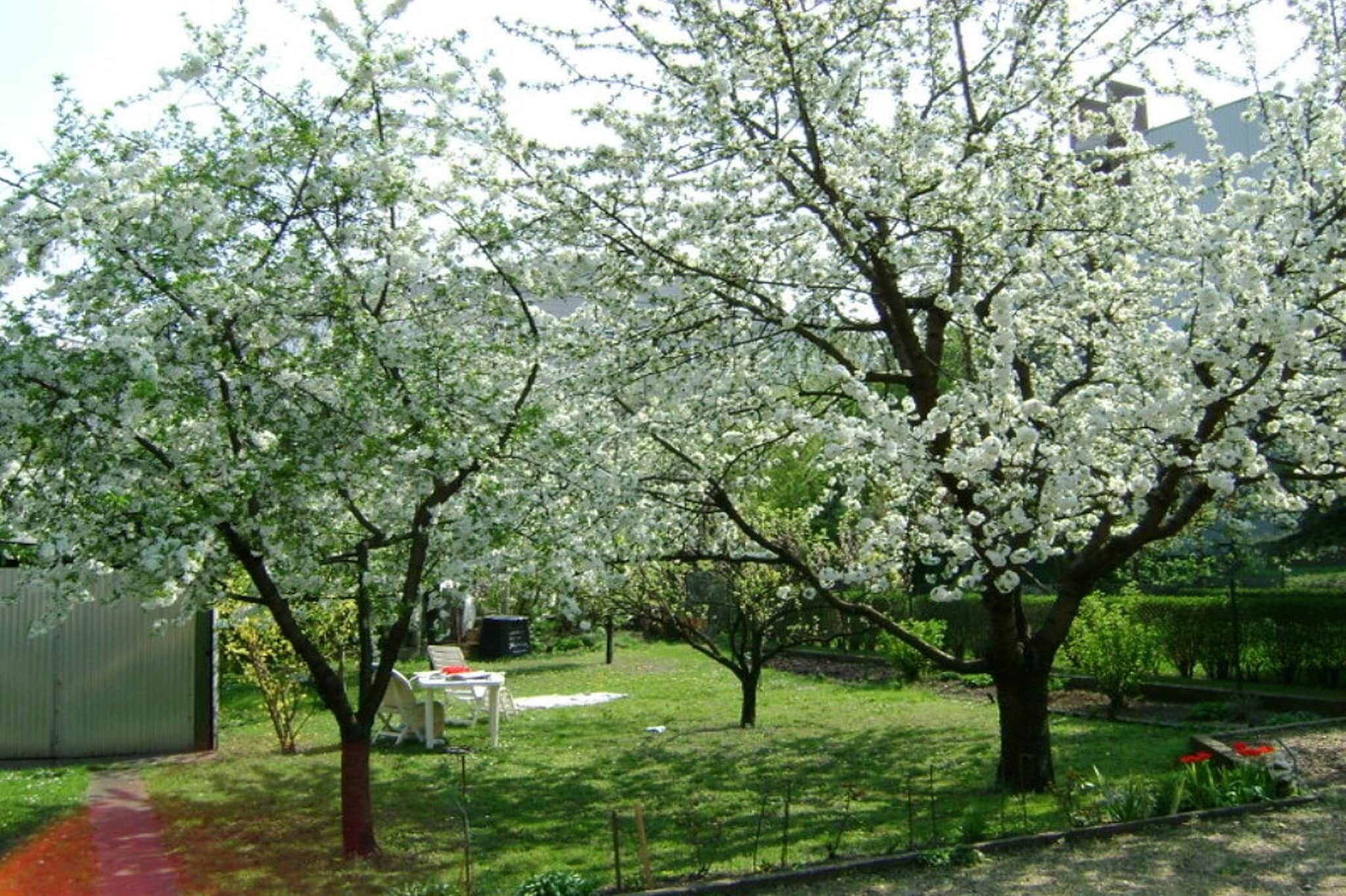 Ferienhaus in Budapest mit großem Garten-Gardens in summer