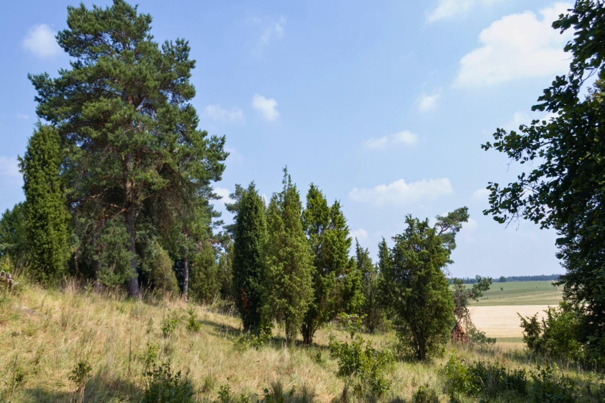 Eifel-Finca mit Whirlpool und Gartenlounge-Gebieden zomer 1km