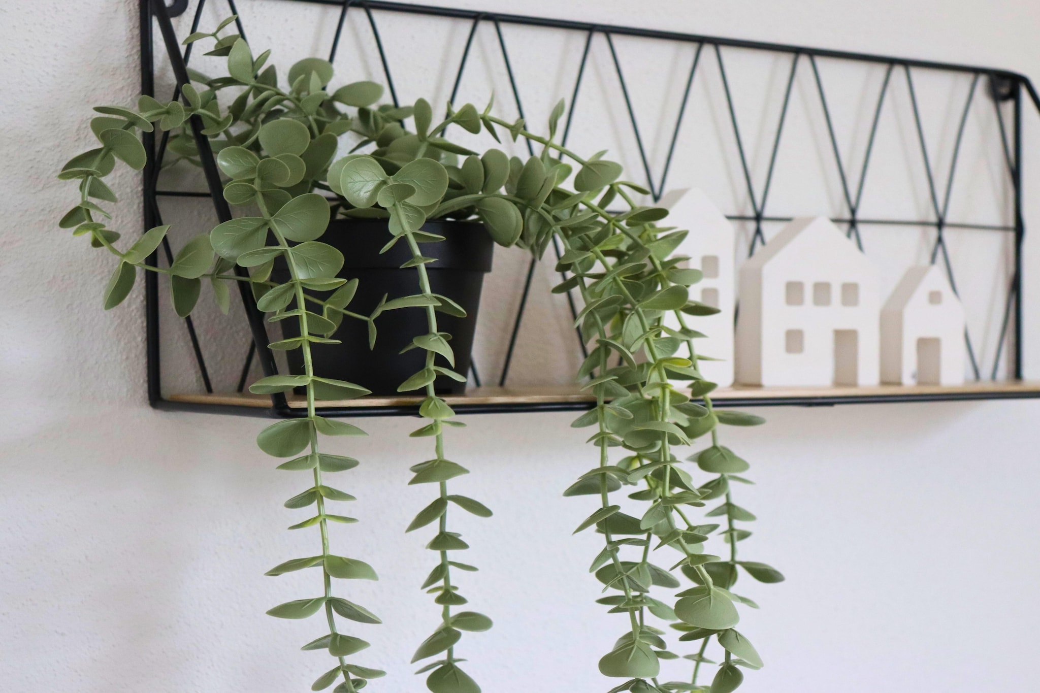 Eifel-Finca mit Whirlpool und Gartenlounge-Sfeer