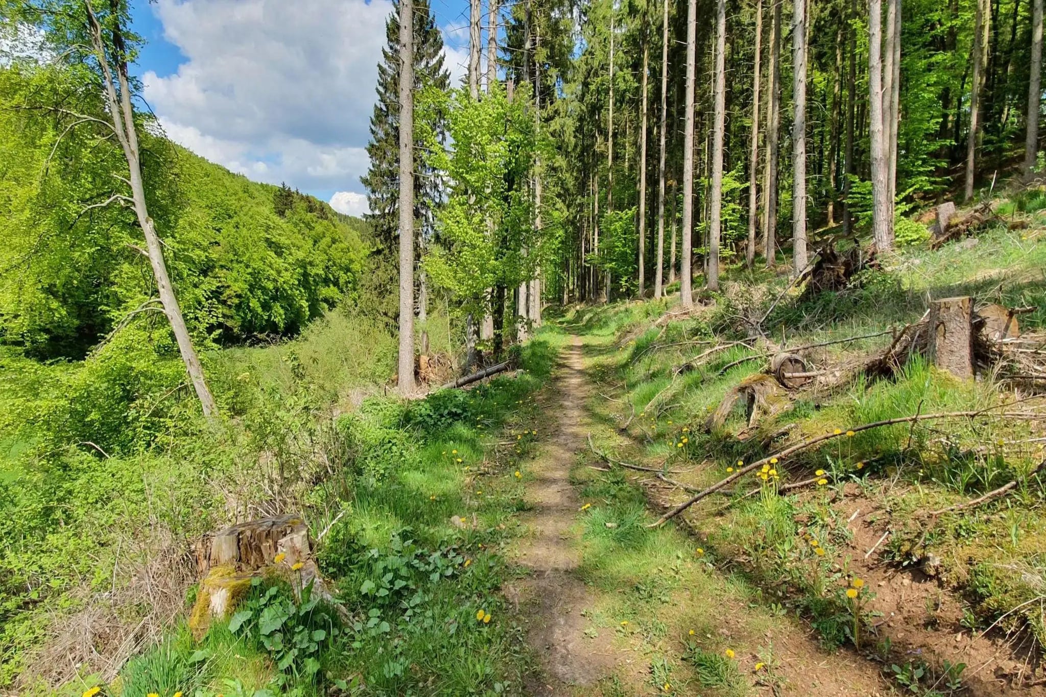 Eifel-Finca mit Whirlpool und Gartenlounge