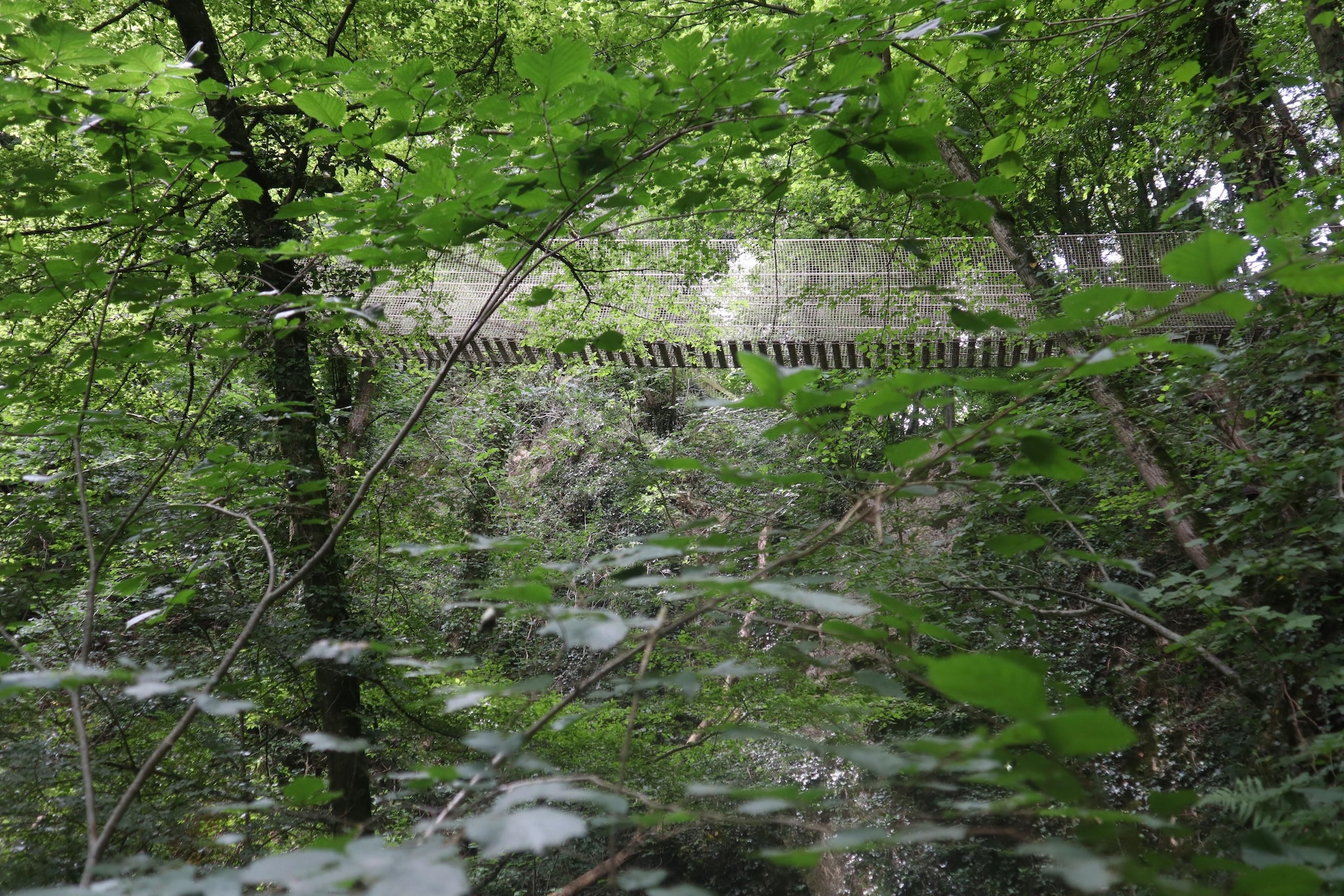 Chalet no 34-Gebieden zomer 1km