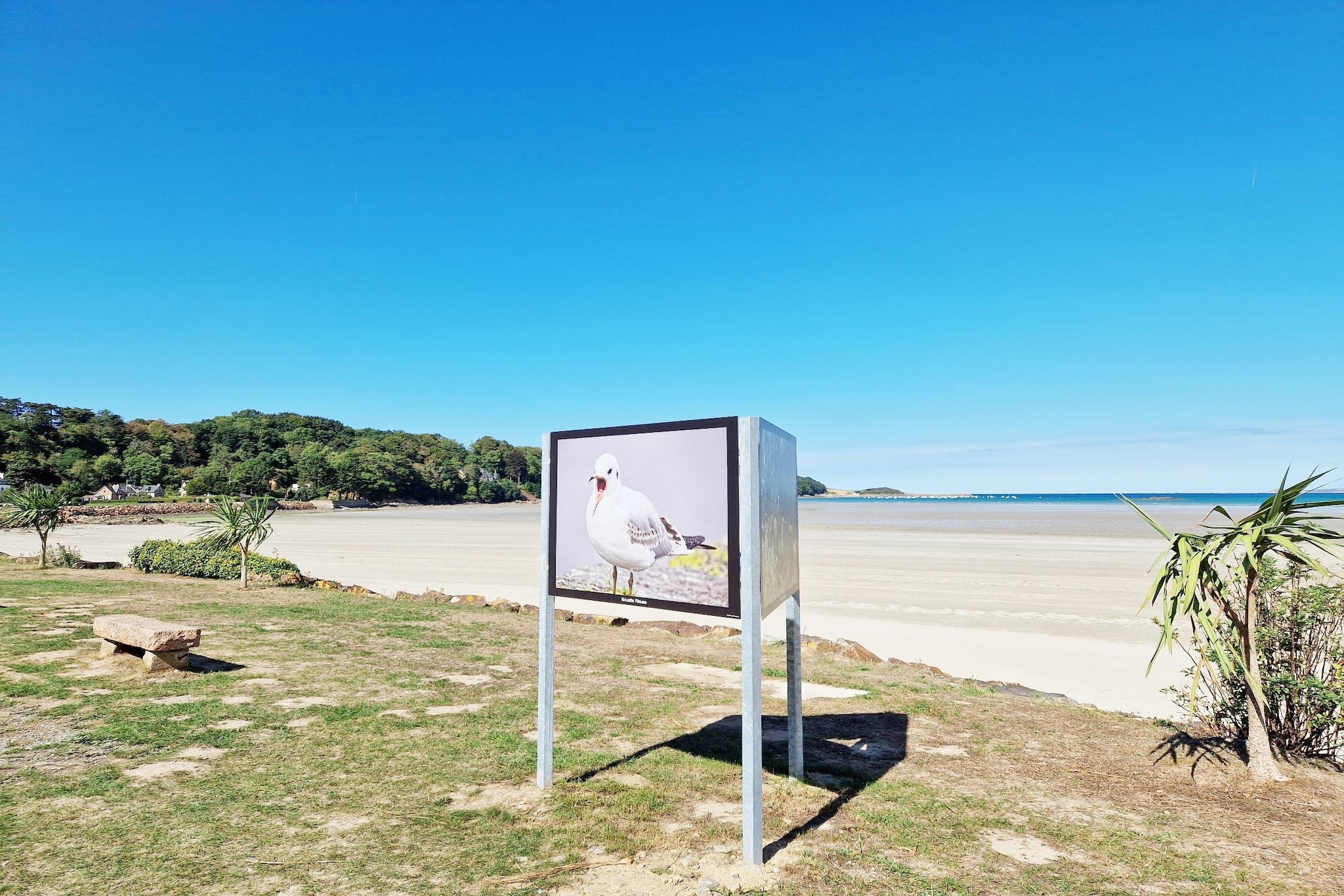 Holiday home in Plougasnou Baie de Morlaix-Zones été à 5 km