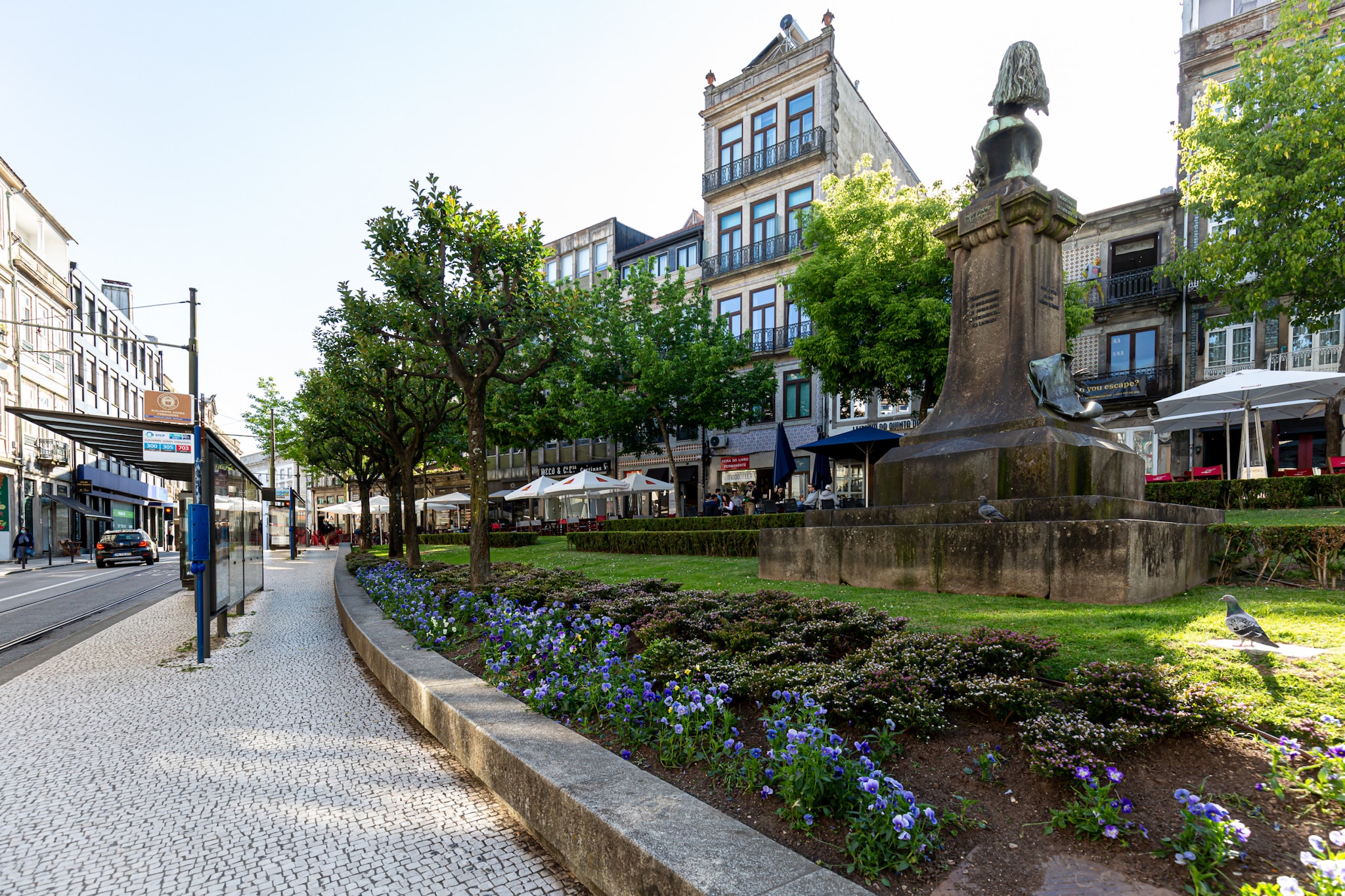 Cotton Cozy Nightlife Studio 101-Buitenlucht