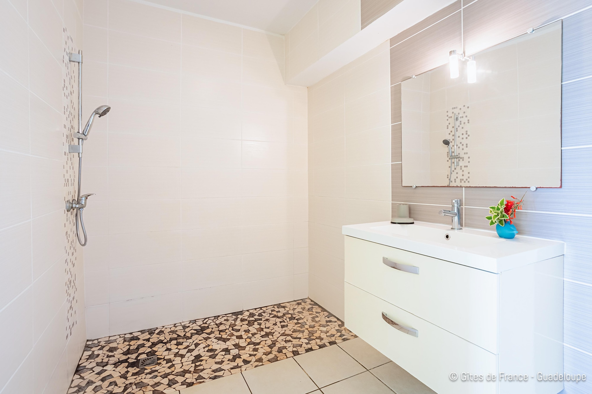 Complexe entier-Résidence-Villa-Salle de Bain amenagée-Vue mer-Salle de bain