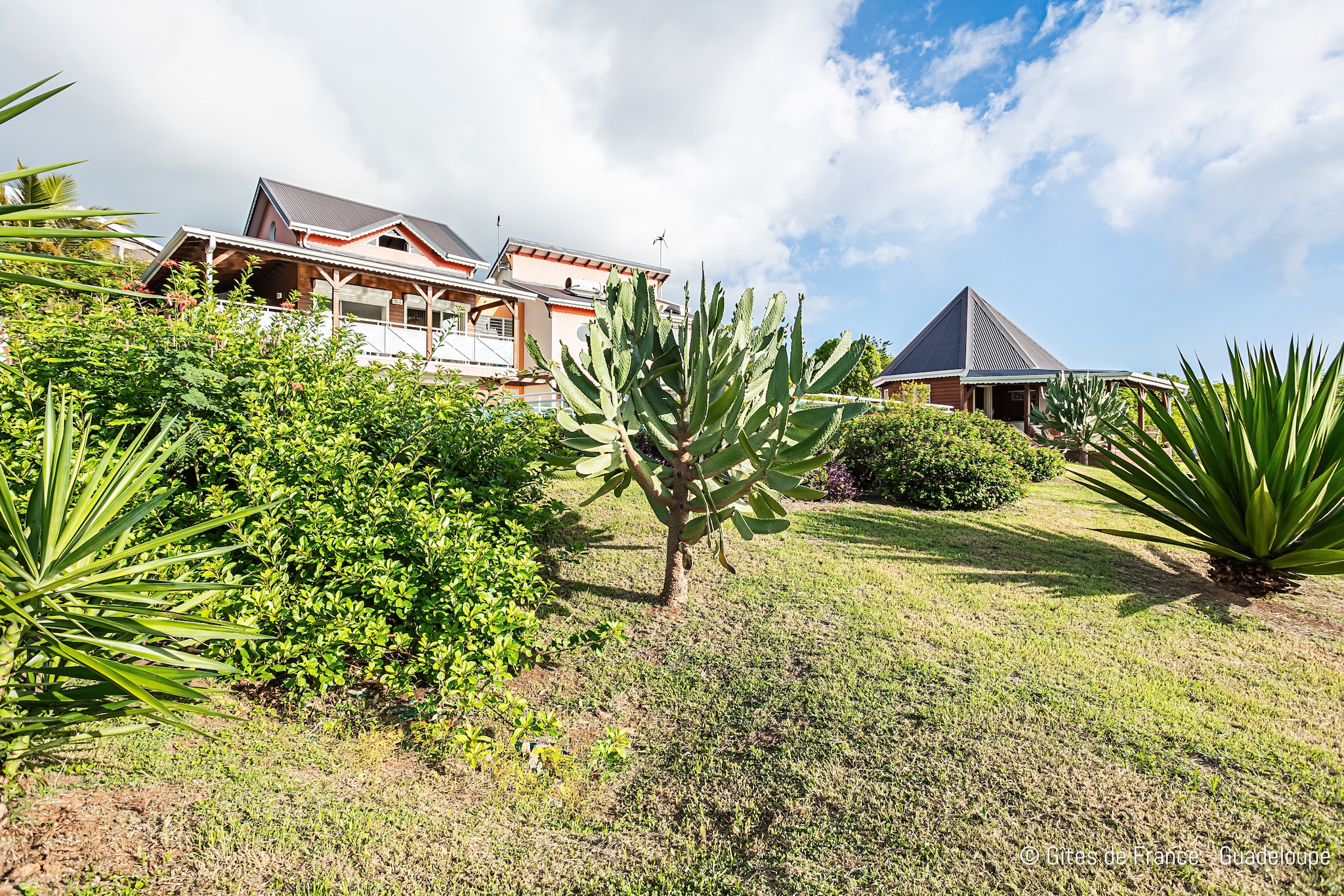 Complexe entier-Résidence-Villa-Salle de Bain amenagée-Vue mer-Jardins en été
