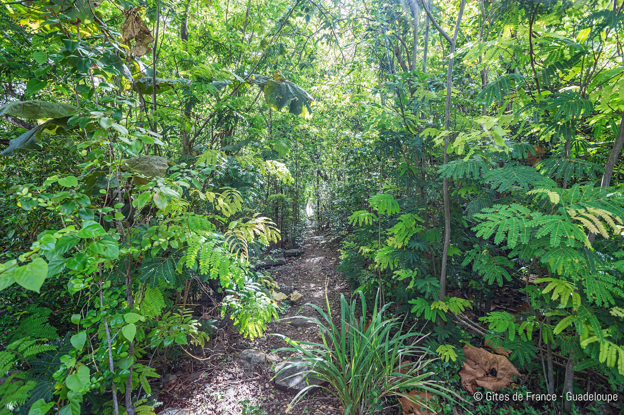 Complexe entier-Résidence-Villa-Salle de Bain amenagée-Vue mer-Jardins en été