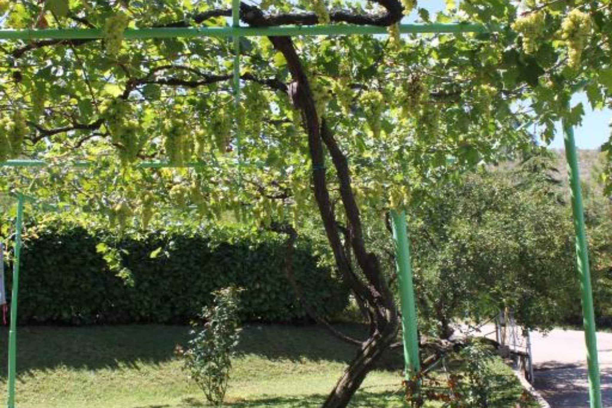 Double bed 2-Buitenlucht