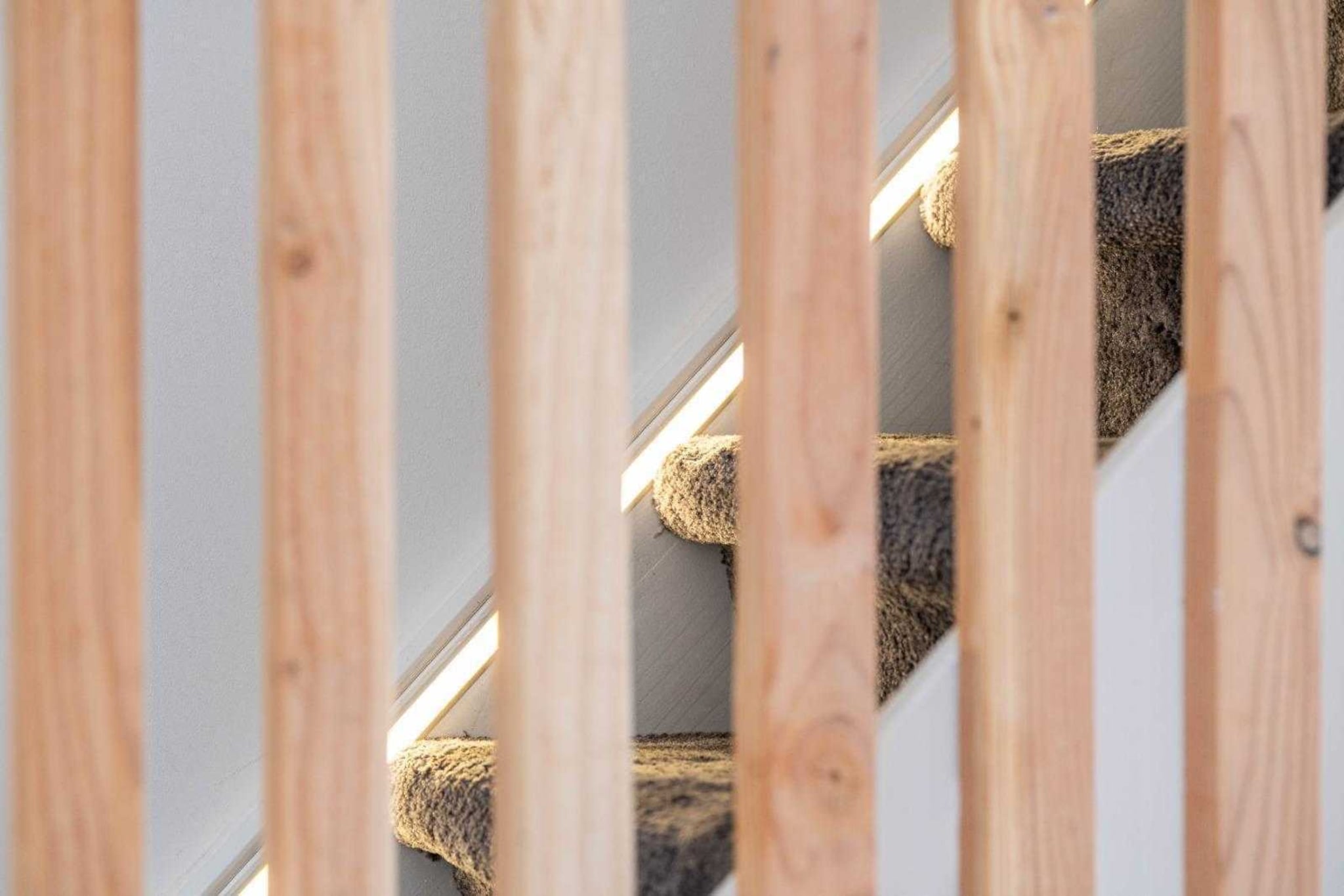 LL-13-ROSOLIEL-Niet-getagd