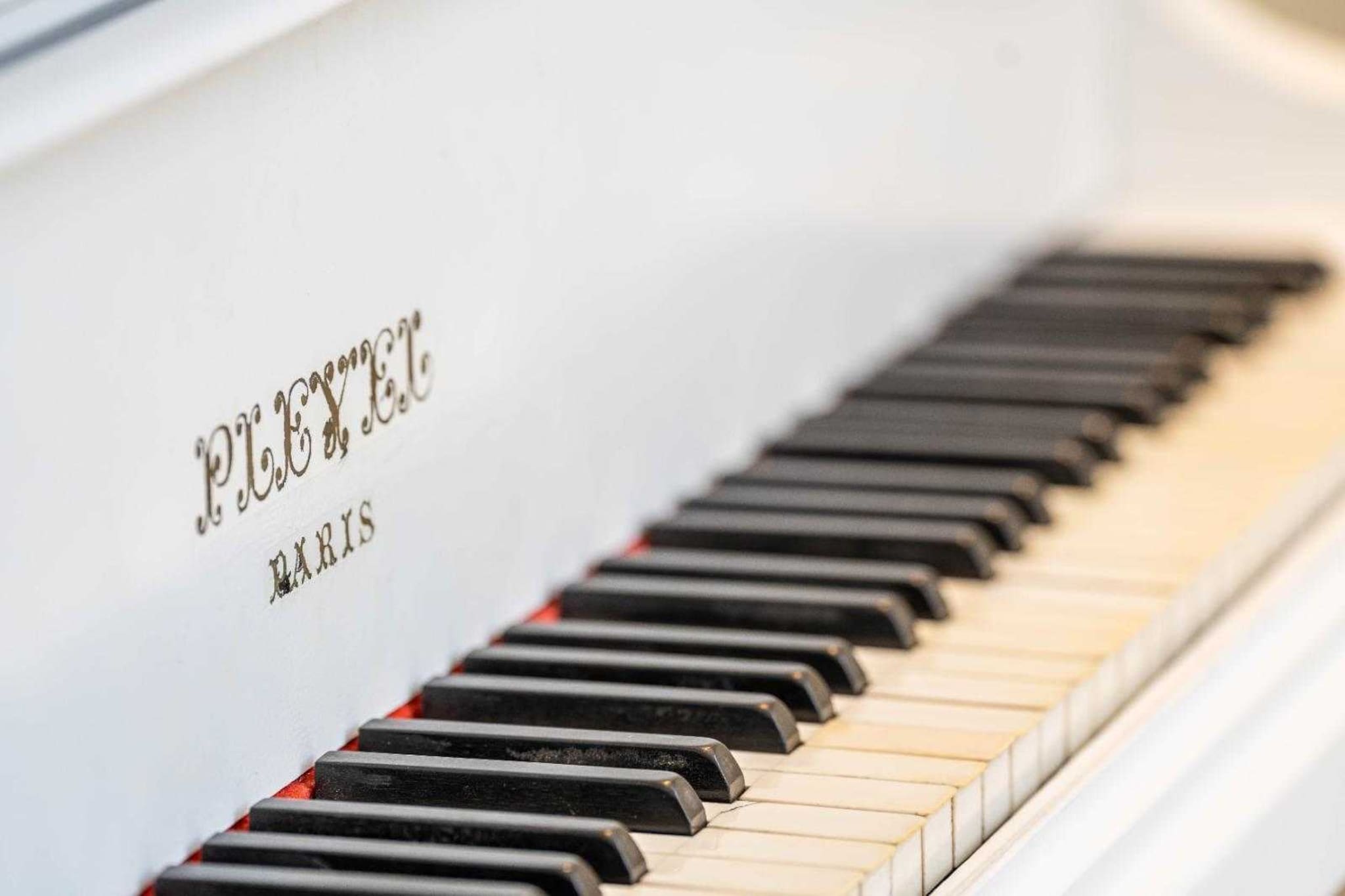 LL-13-ROSOLIEL-Niet-getagd