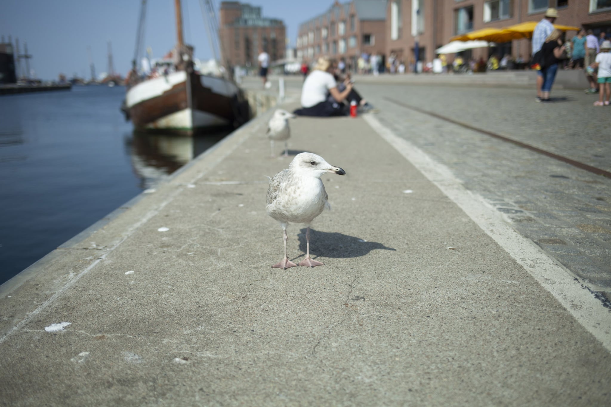 Zum Breitling-Zones été à 20 km