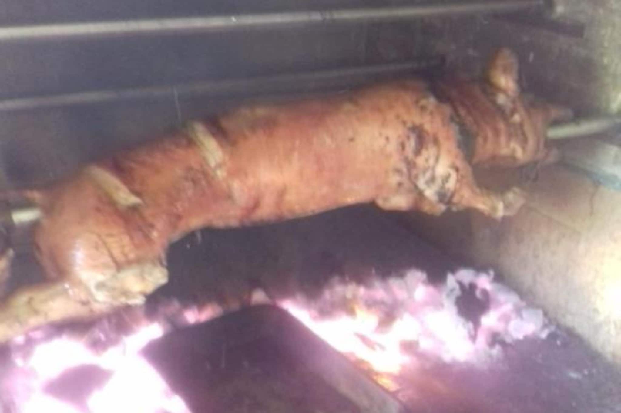 One Bedroom Magic Room (1)-équipements