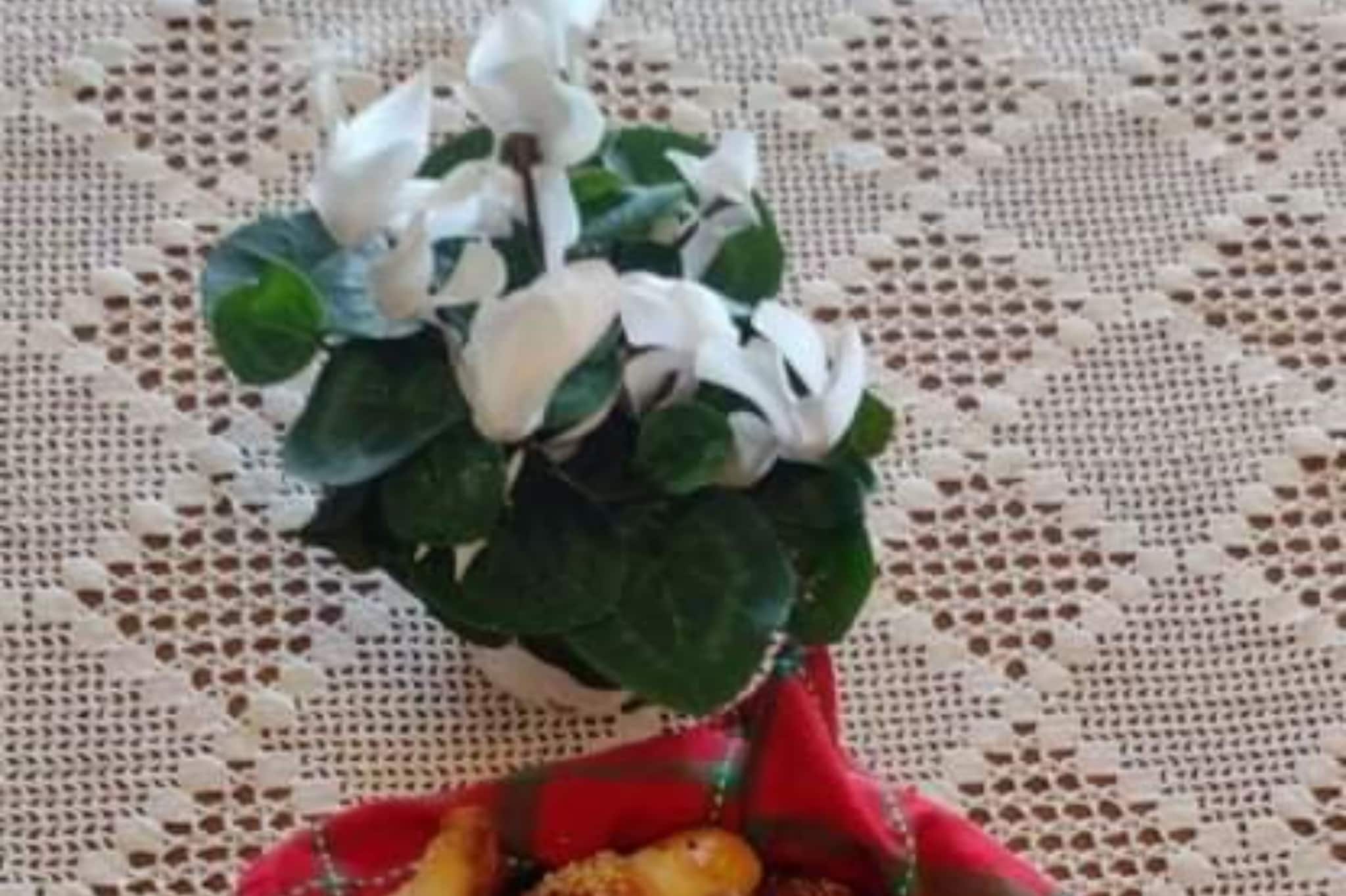 One Bedroom Dream Room (2)-Extérieur