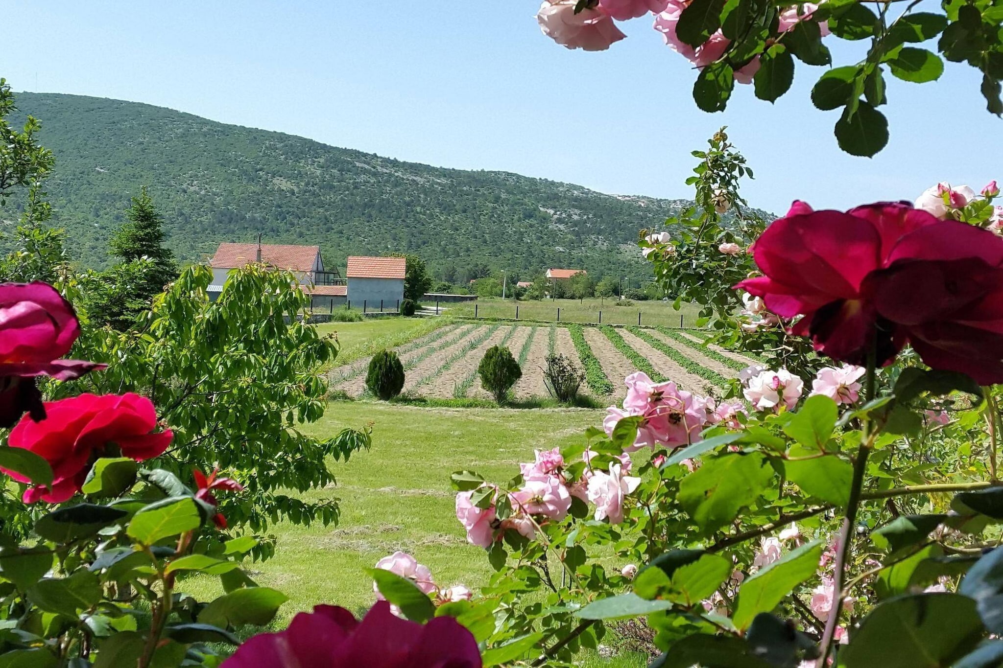 Sport & Spa Villa Neoric-Gebiete Sommer 1 km