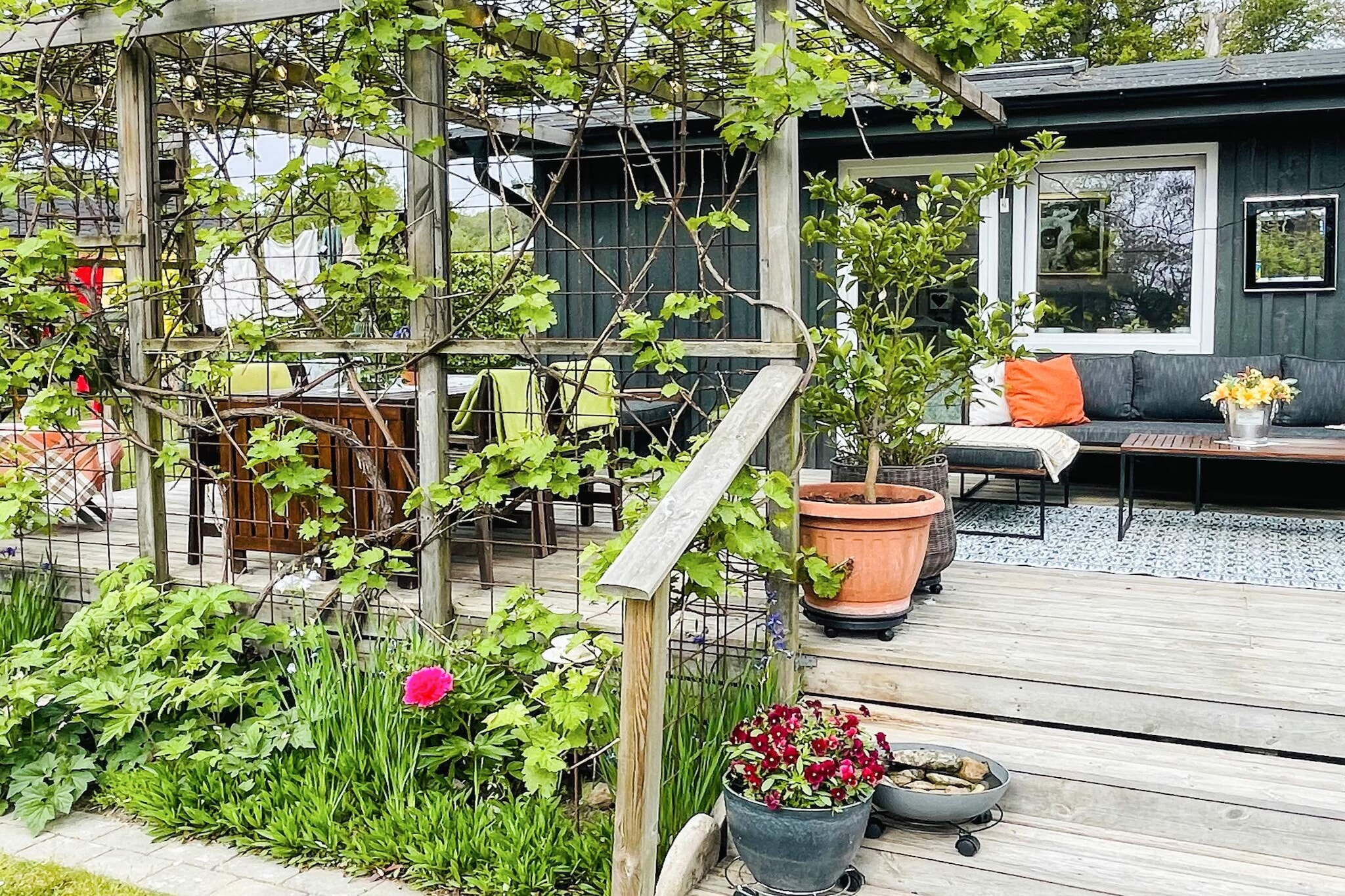 4 etoiles maison de vacances a SÖLVESBORG - Extérieur