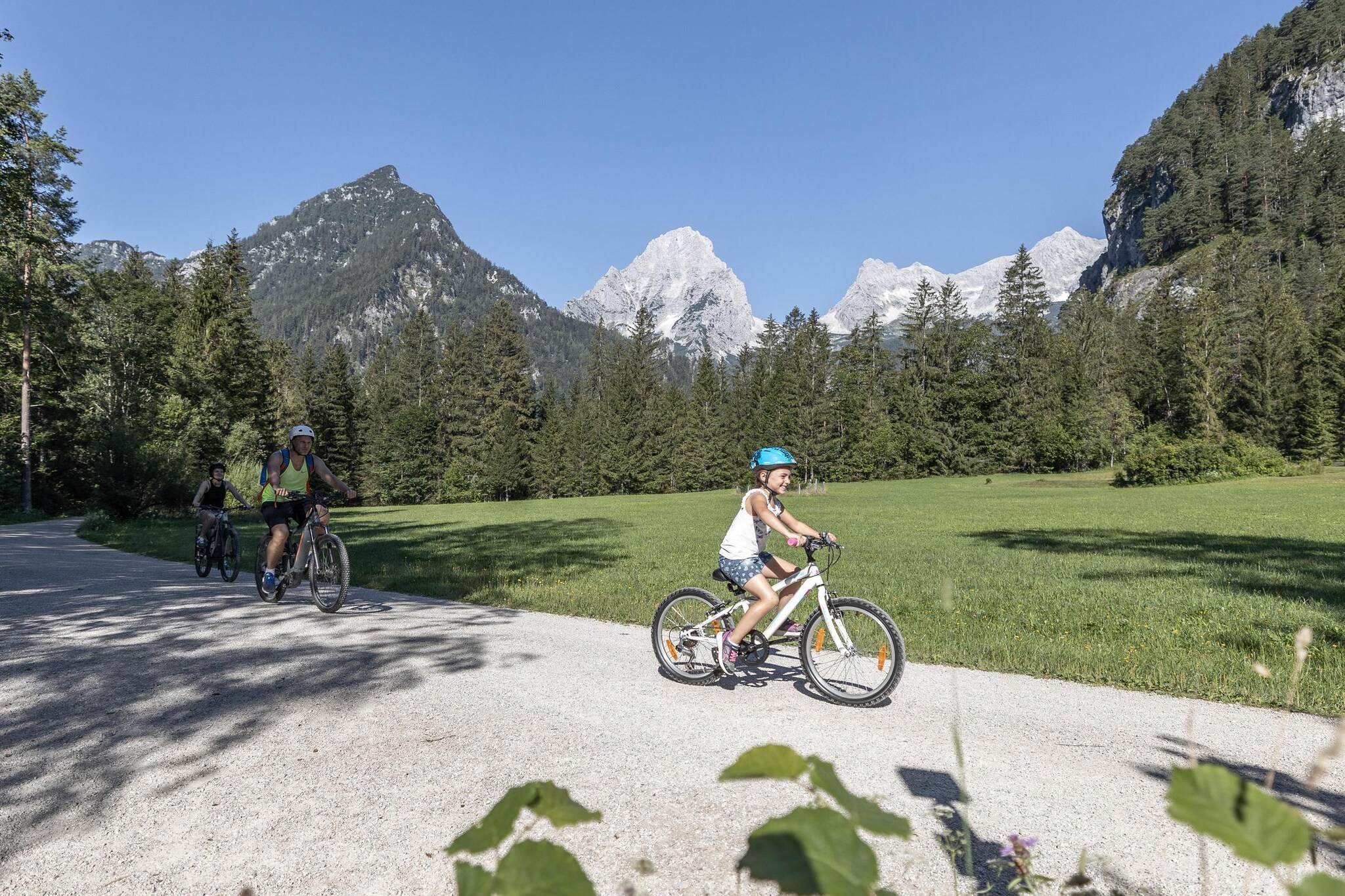 Kreidelucke-Gebieden zomer 1km