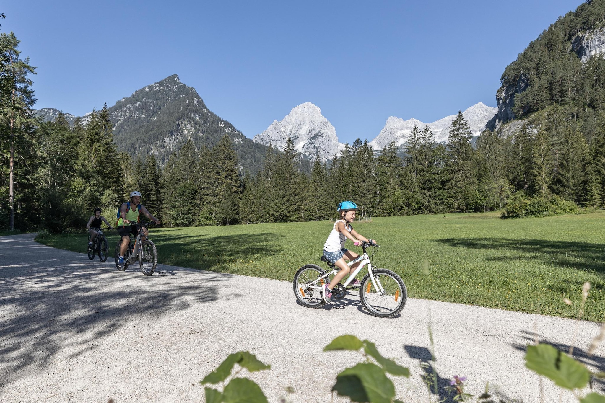 Almsee-Gebieden zomer 1km
