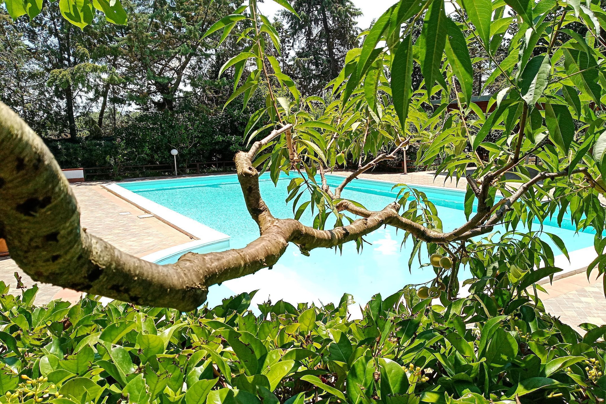 SAPPHIRE HOME-Schwimmbad