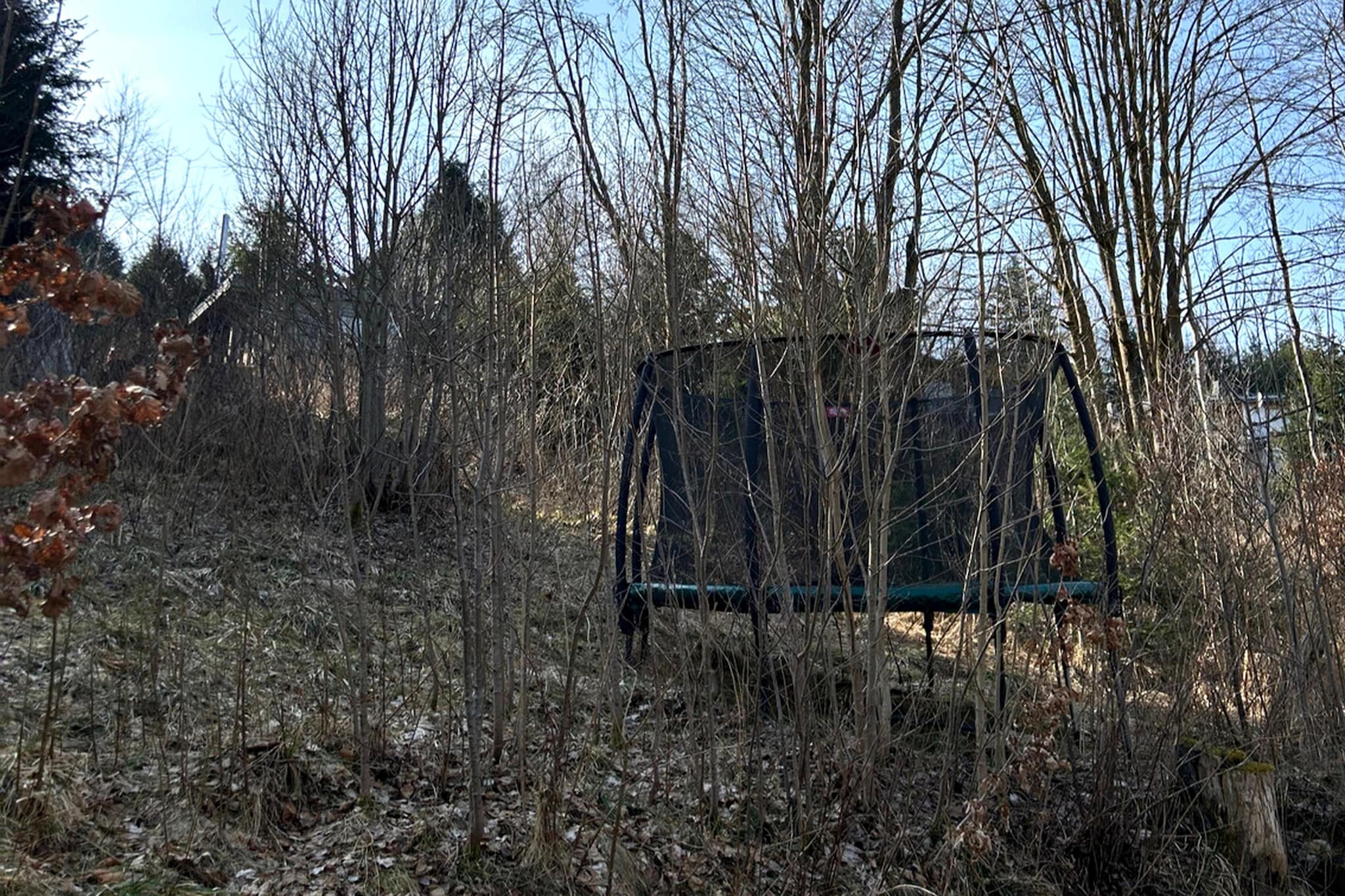 Modernes FERIENHAUS ALLRODE mit Wellness - Tuinen zomer