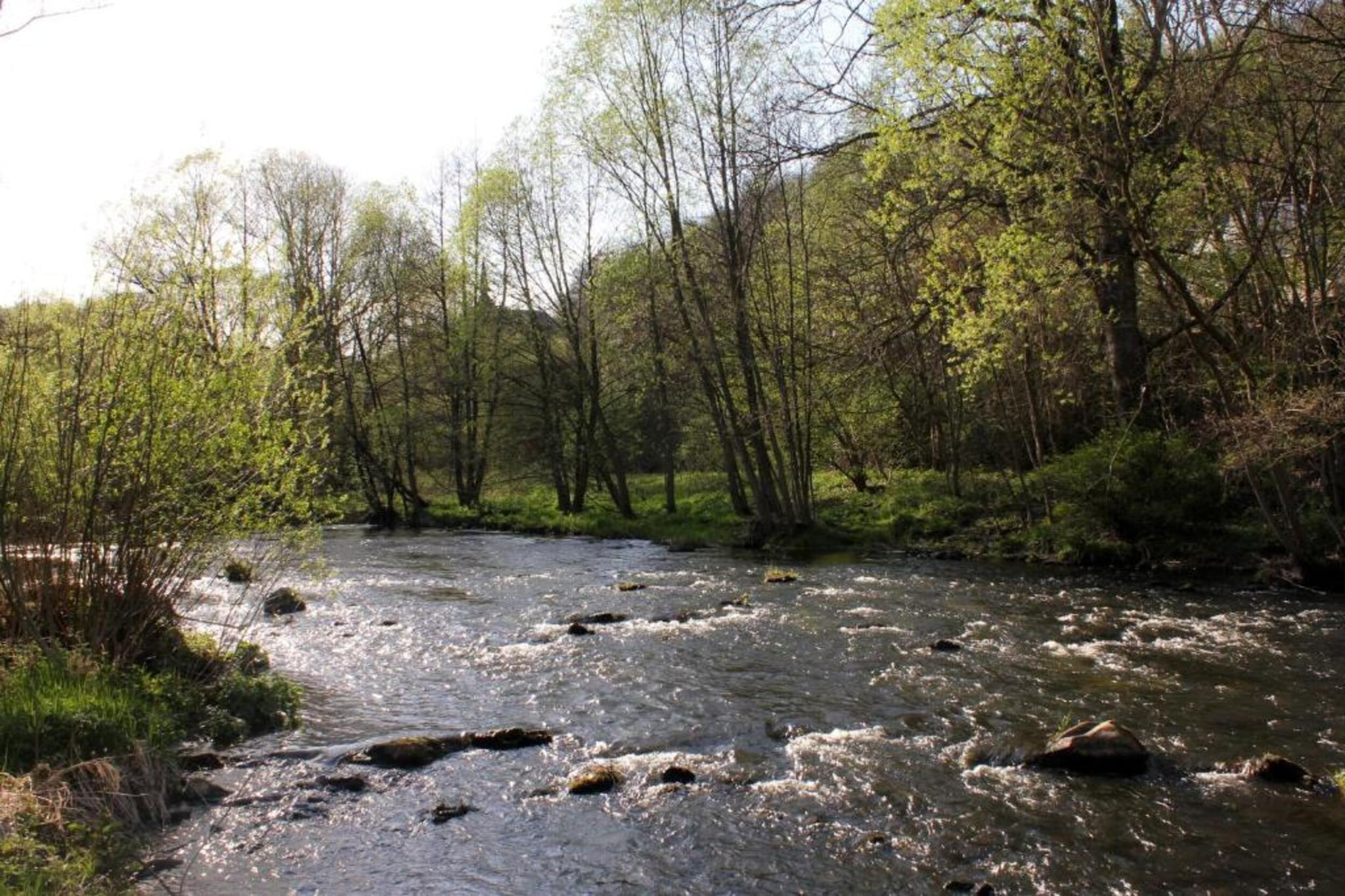 Modernes FERIENHAUS ALLRODE mit Wellness - Gebieden zomer 5km