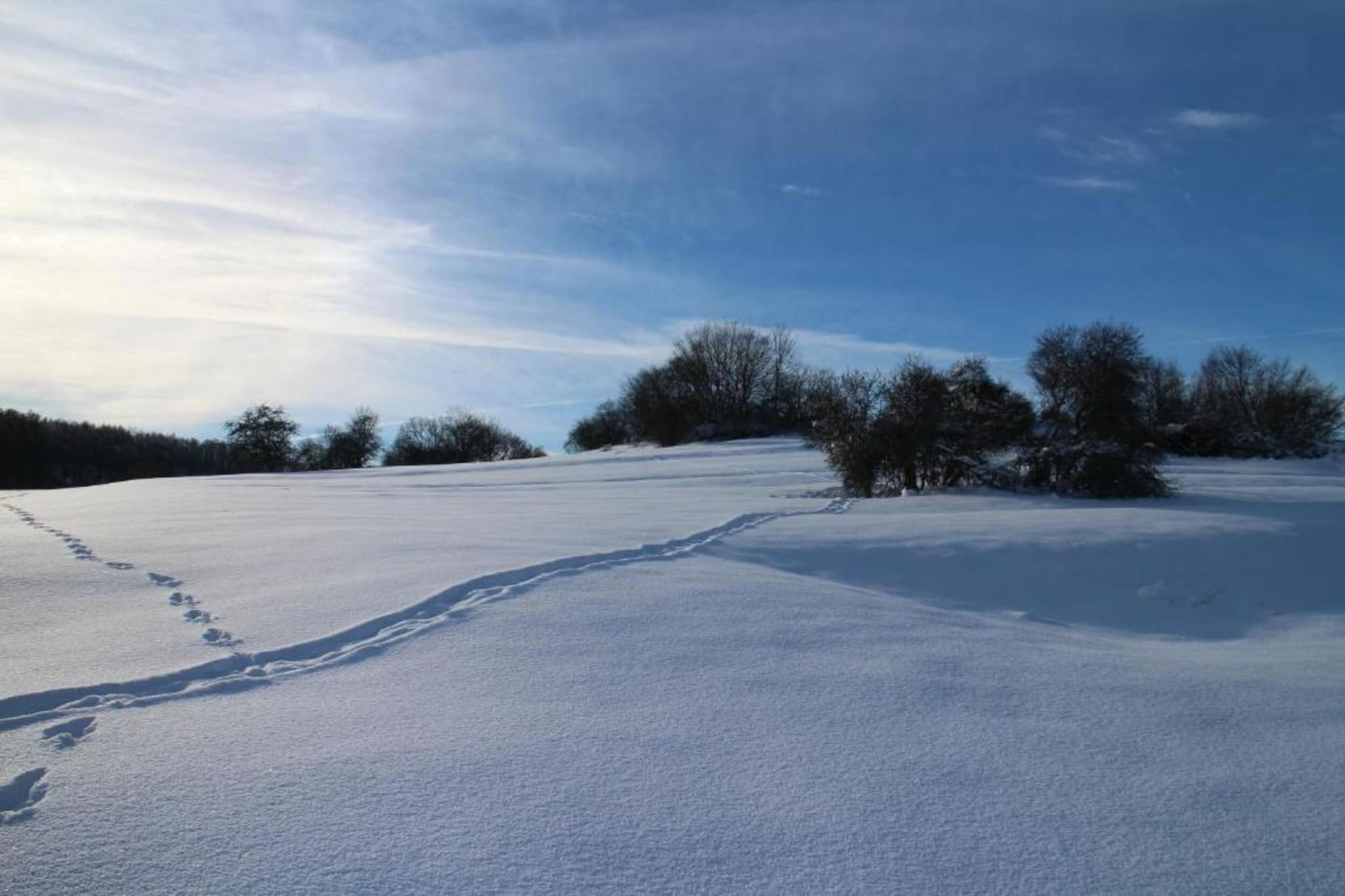 Modernes FERIENHAUS ALLRODE mit Wellness - Gebied winter 20km