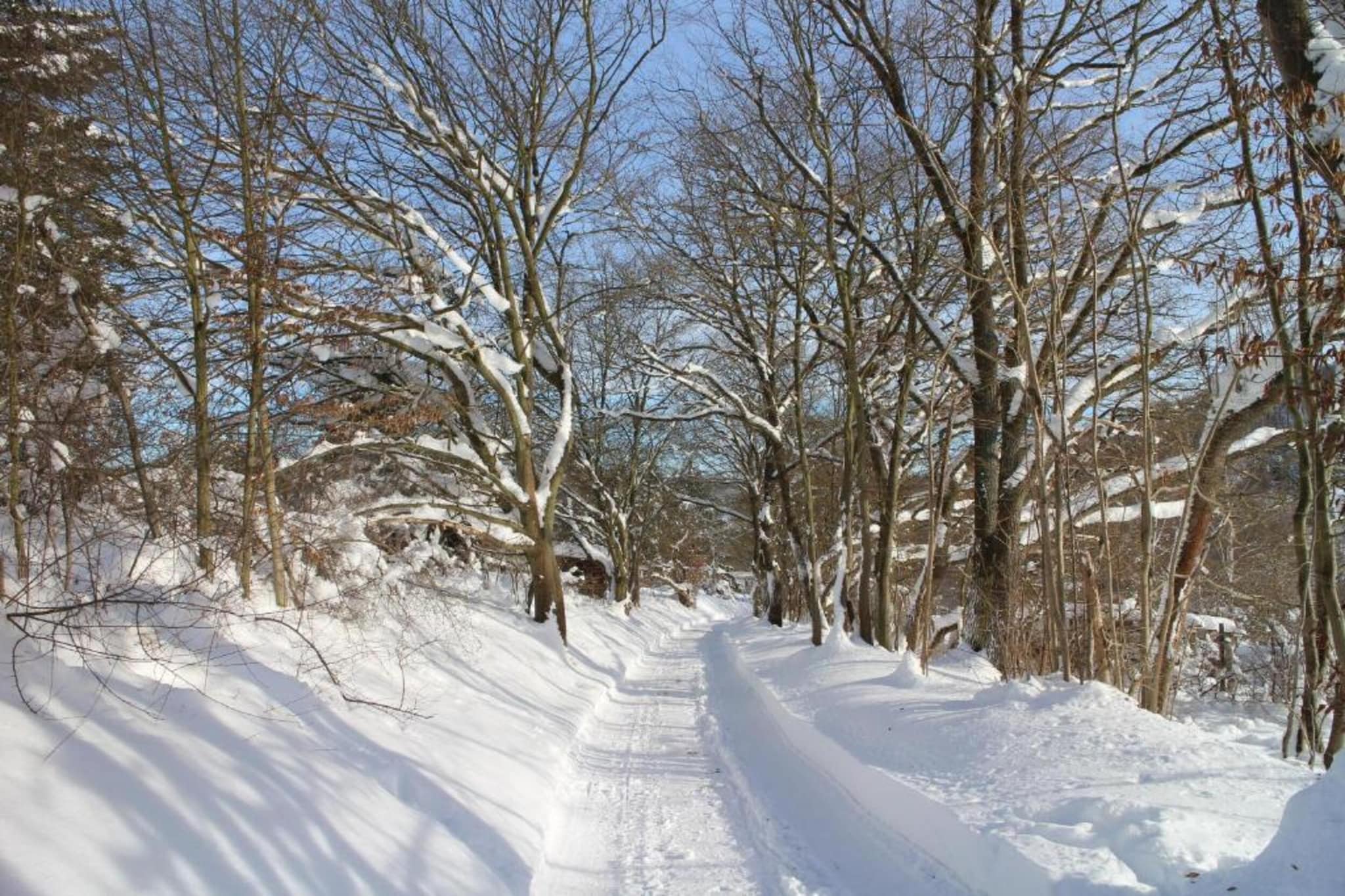 Modernes FERIENHAUS ALLRODE mit Wellness - Gebied winter 1km