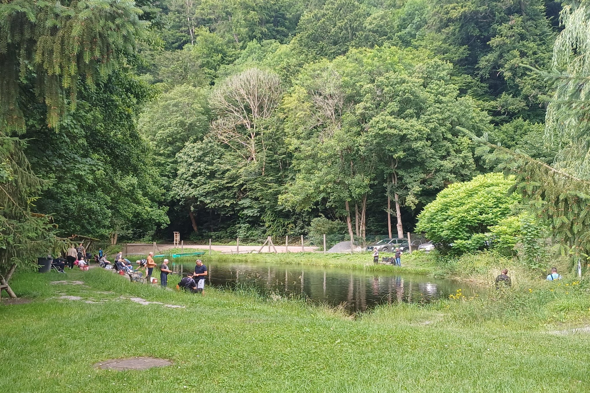 Modernes FERIENHAUS ALLRODE mit Wellness - Gebieden zomer 5km