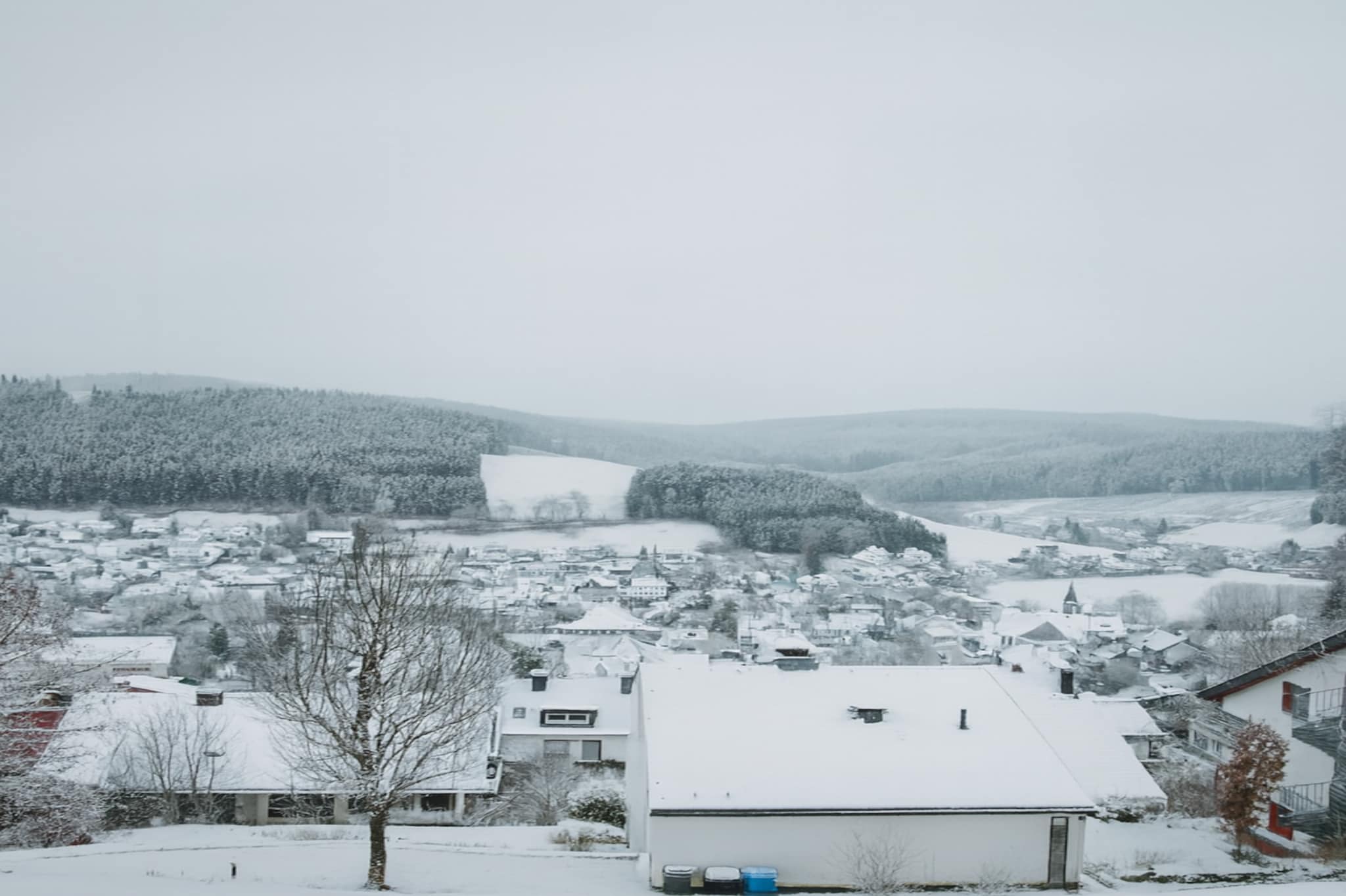 View Winter