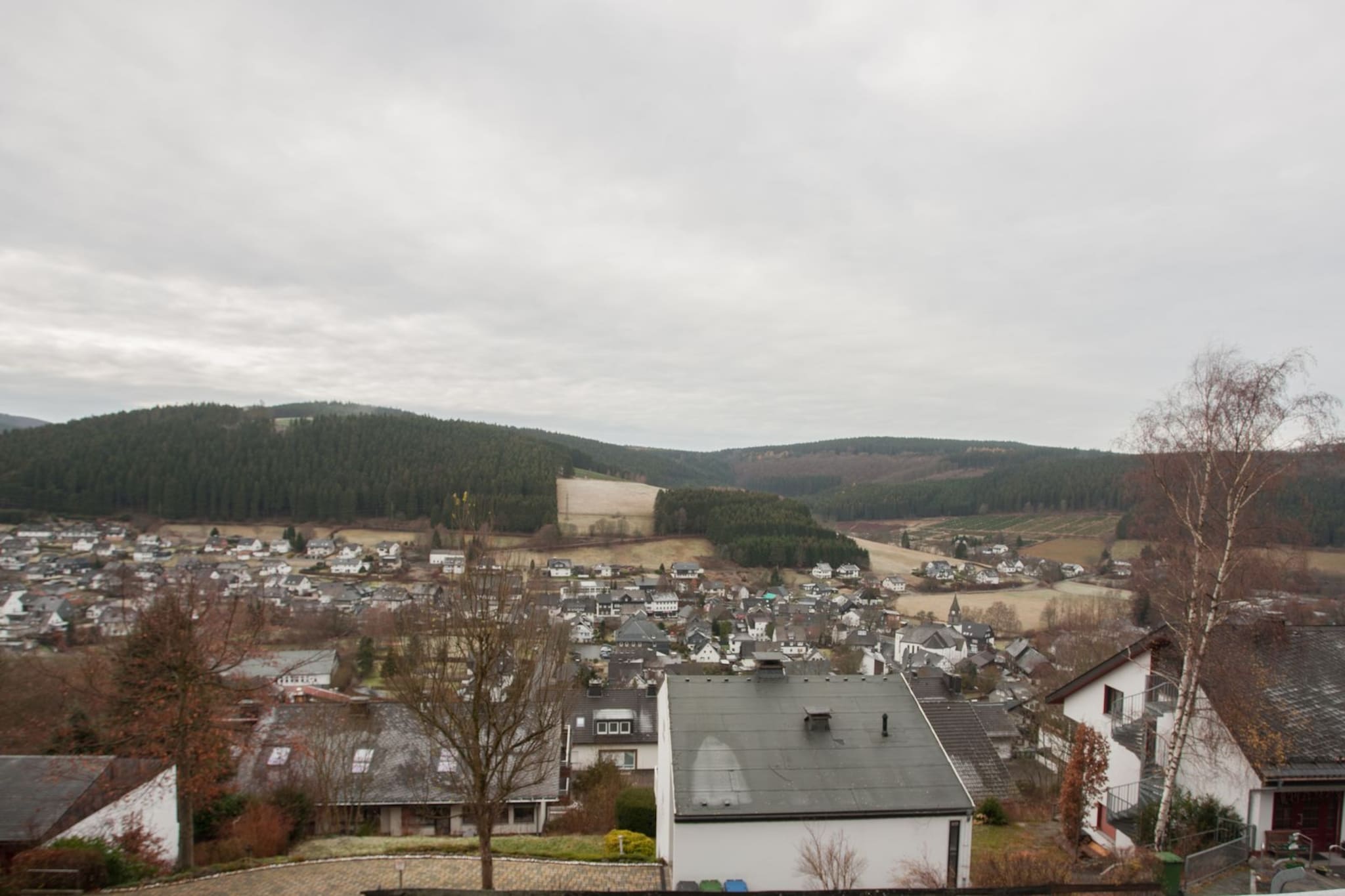 View Winter