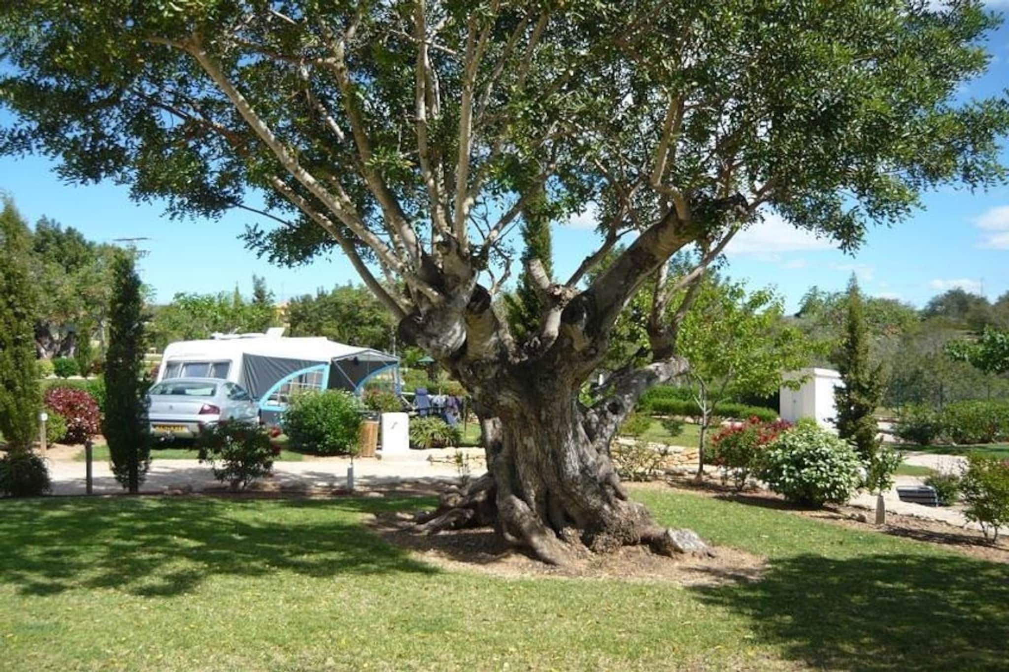 CASITA TOMILLO 3ch 6pers-Untagged