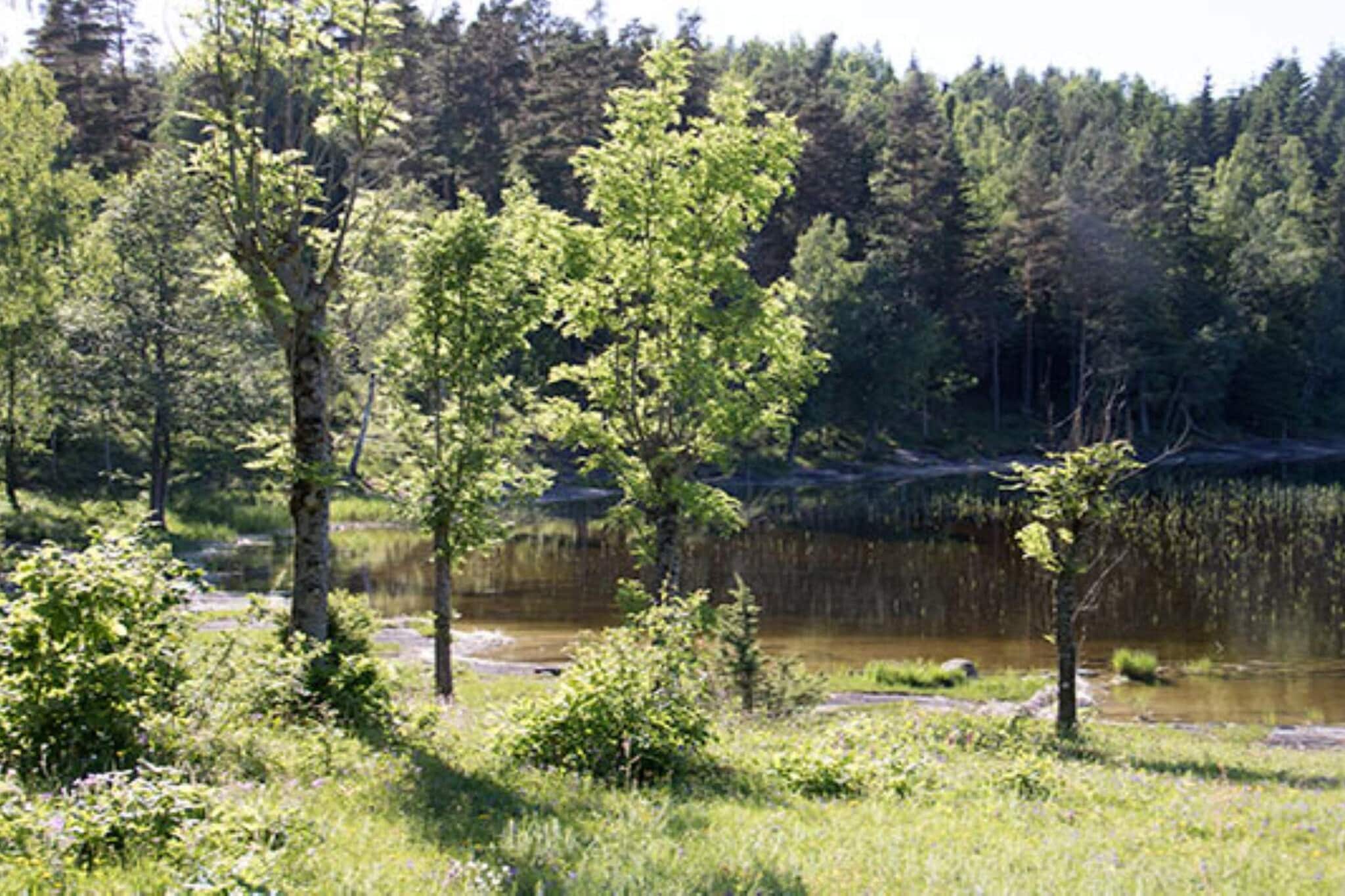 5 Personen Ferienhaus in KÖPMANNEBRO-Im Freien