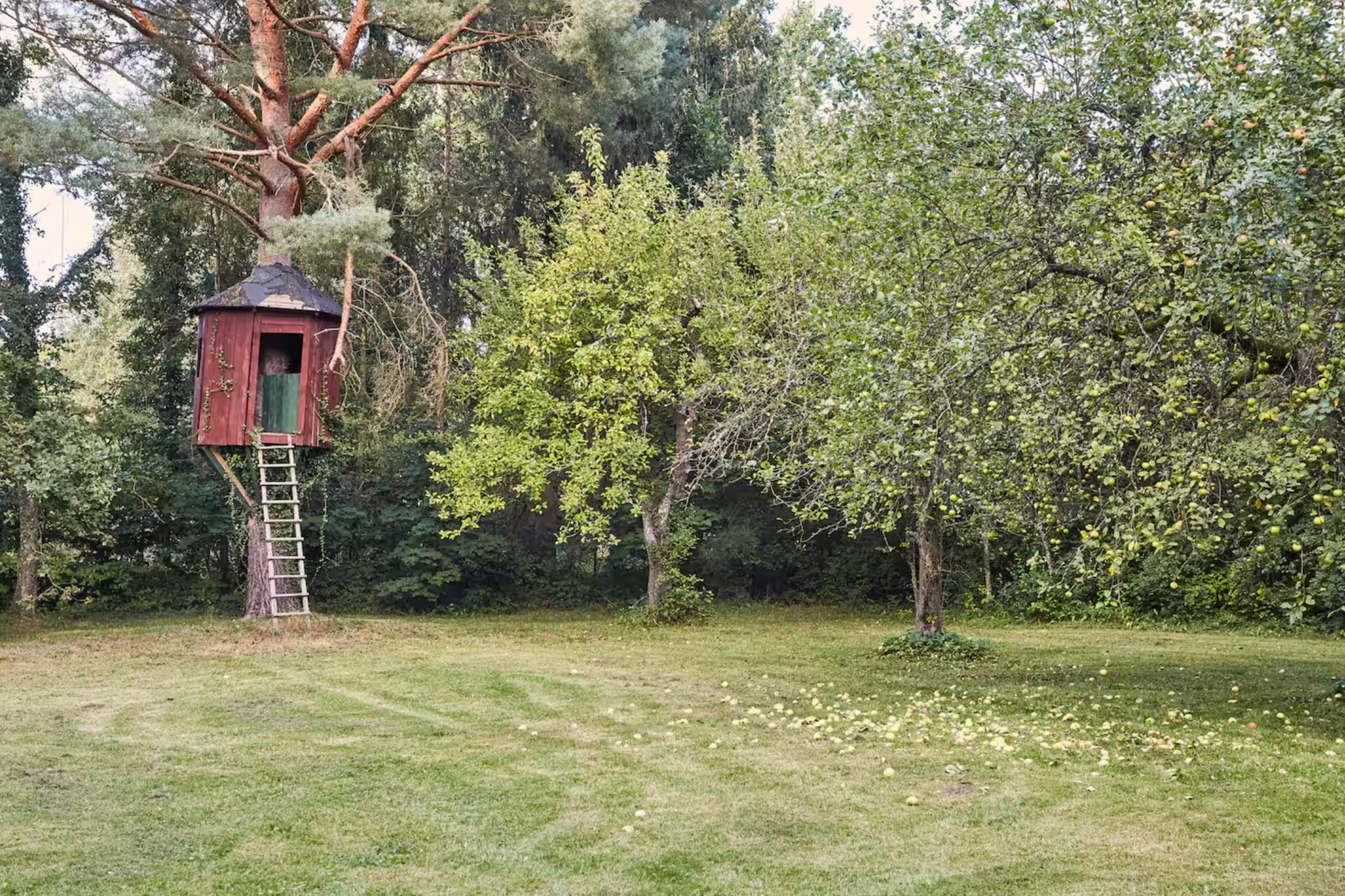 Dom wakacyjny w Sasinie dla max 8 osób - Garten Sommer