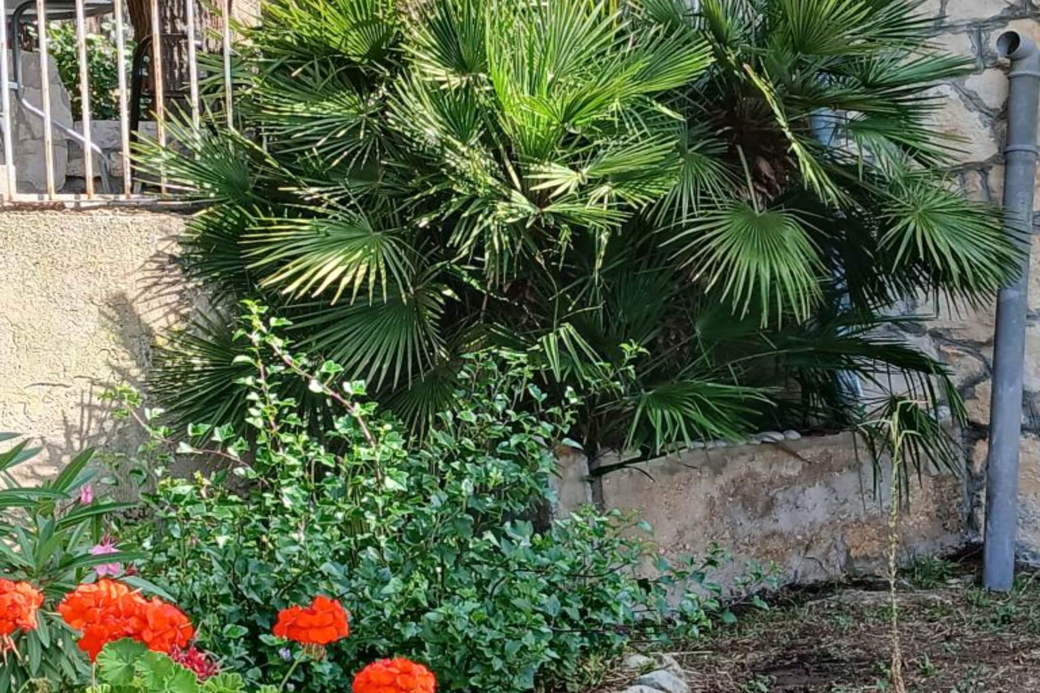 Apartmani Green Oasis - Studio Apartment with Terrace and Sea View-Buitenlucht