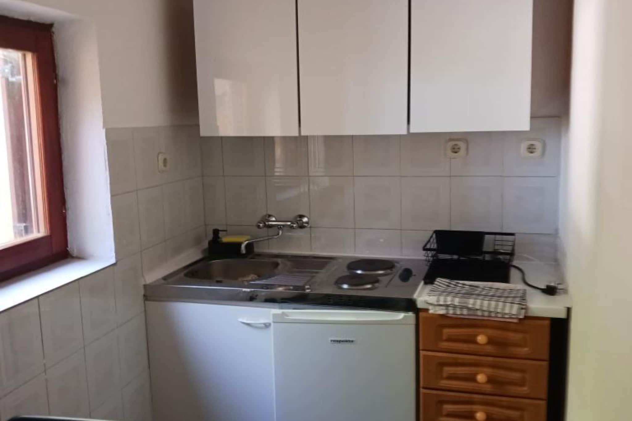 Apartmani Green Oasis - One Bedroom Apartment with Terrace and Sea View