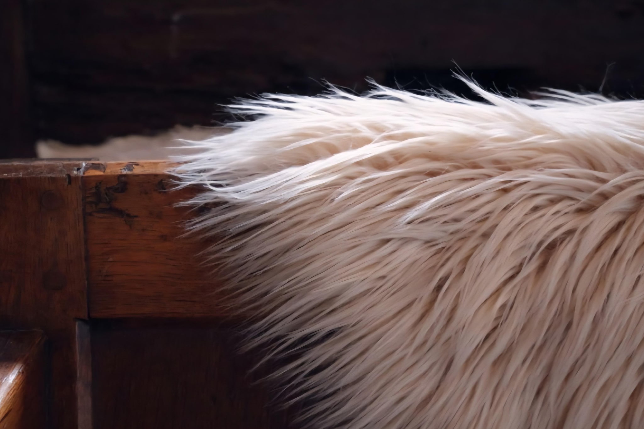 Gite L'éternité-Sfeer