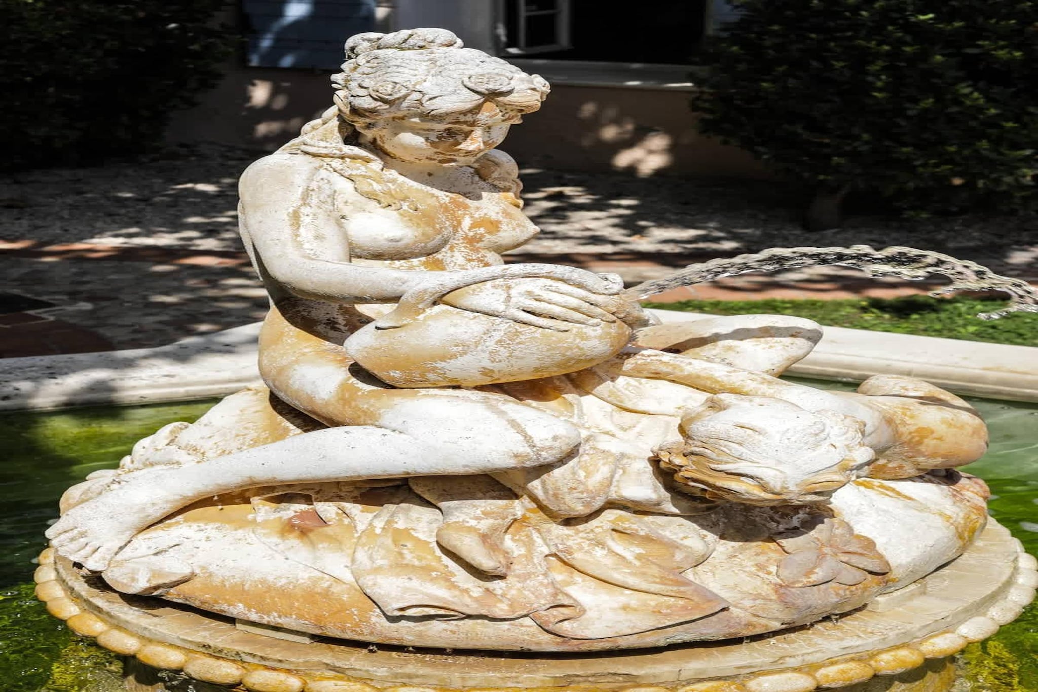 Charmant Mas Provençal avec piscine et jacuzzis-Ambiente