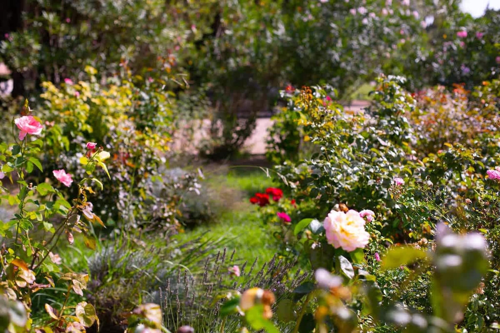 Charmant Mas Provençal avec piscine et jacuzzis-Ambiente