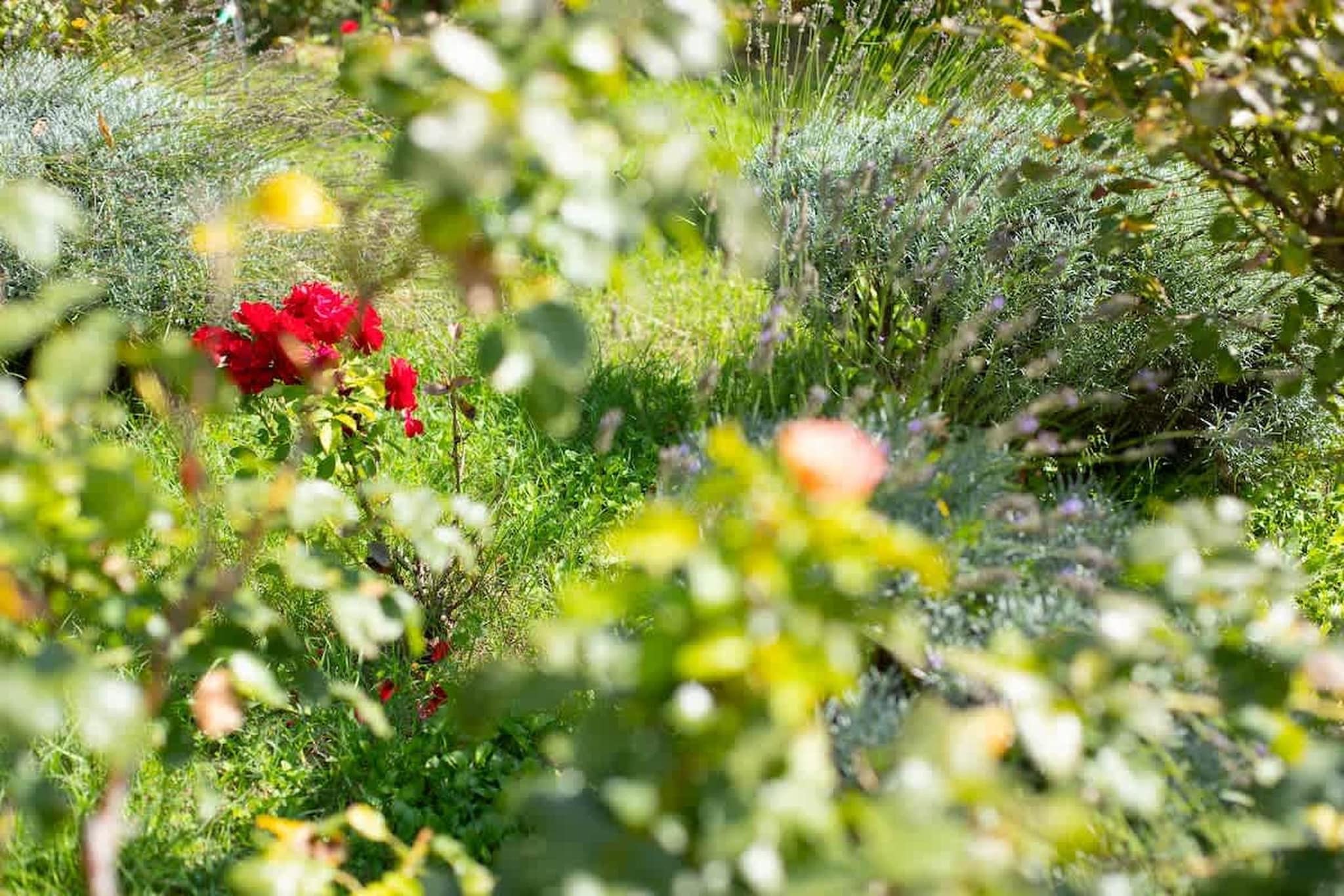 Charmant Mas Provençal avec piscine et jacuzzis-Ambiente