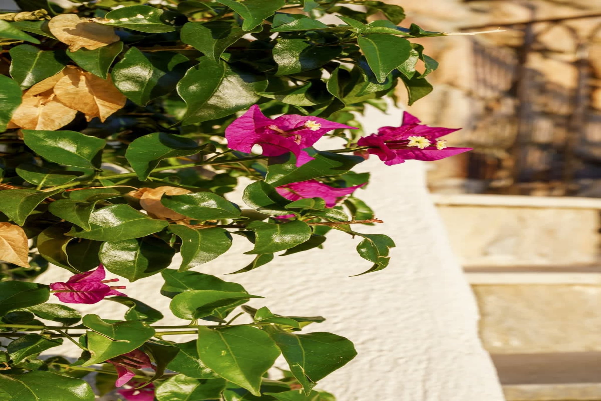 Magnifique villa avec vue sur mer et belle piscine-Ambiance