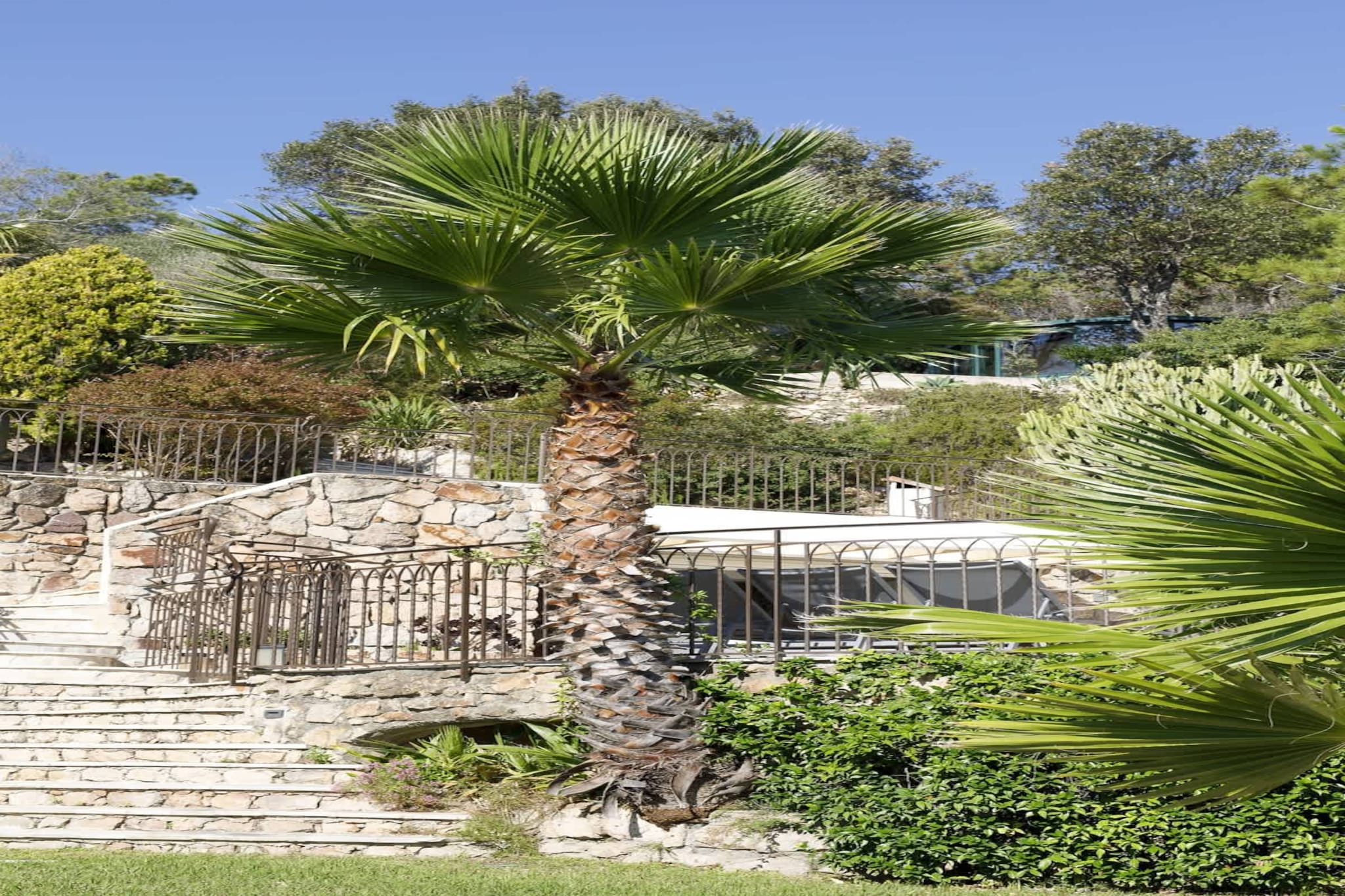 Magnifique villa avec vue sur mer et belle piscine-Jardins en été