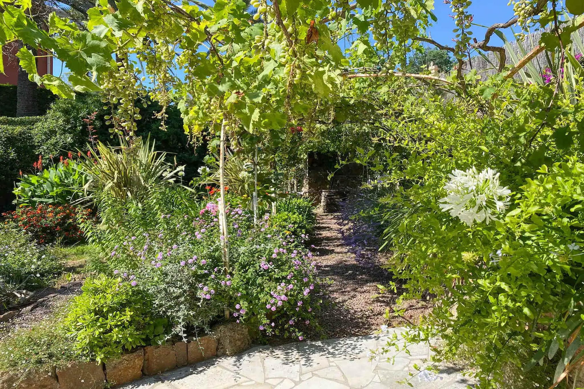 Villa plage privée vue sur la mer-Jardins en été