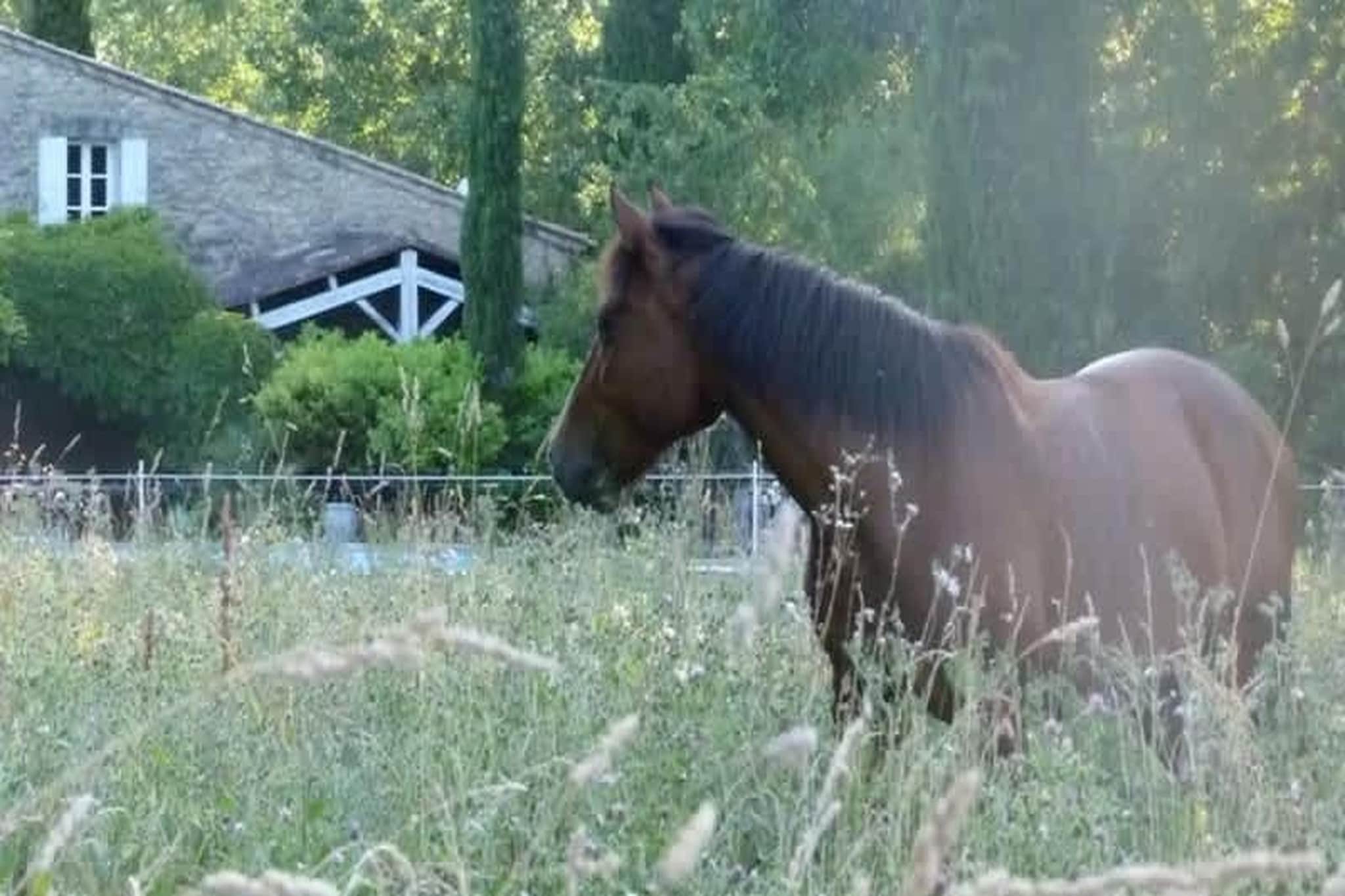 Villa provencale pour les amoureux de la nature en Lubéron