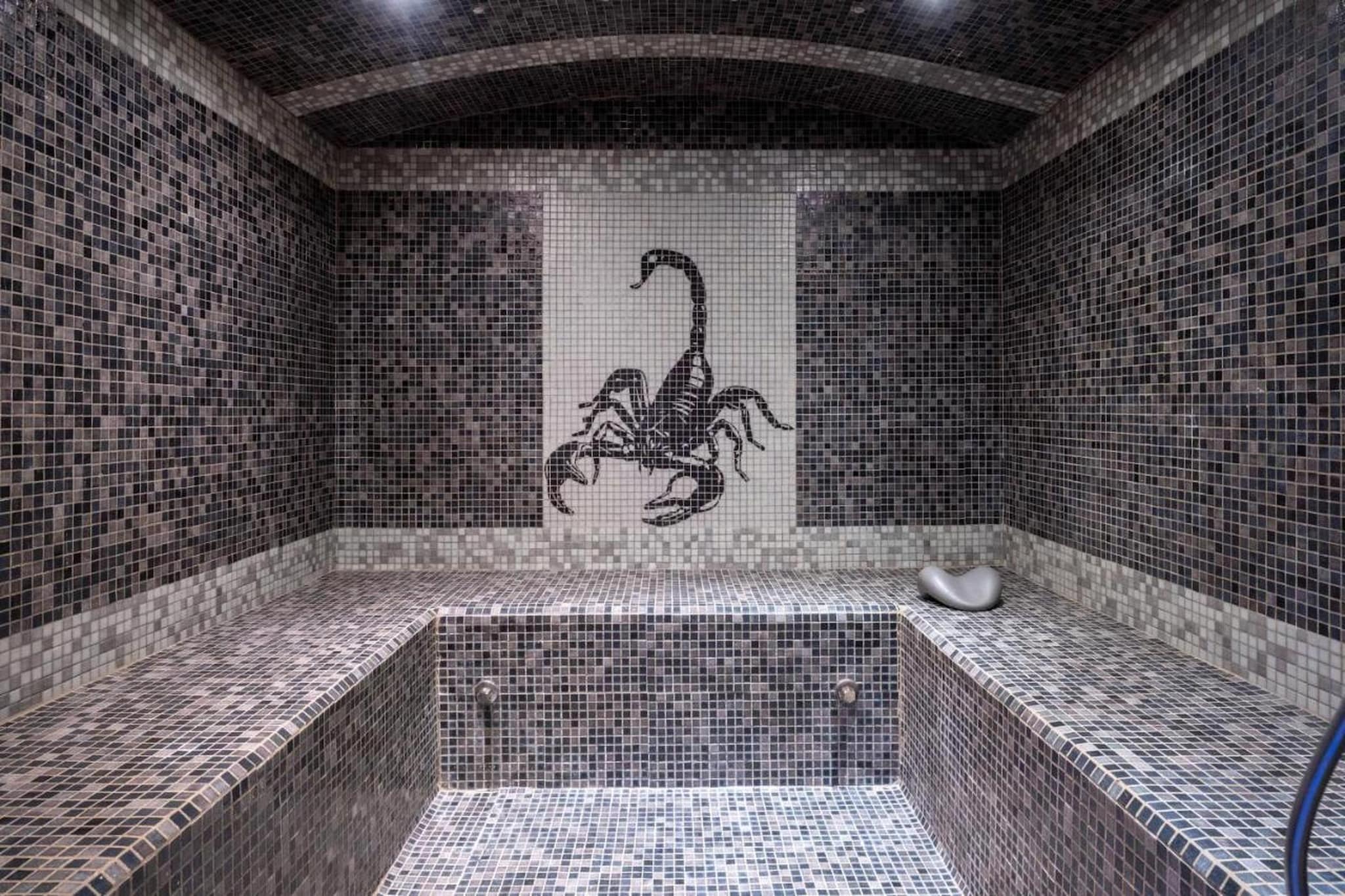 Villa avec piscine chauffée spa salle sport et cinéma-Faciliteiten