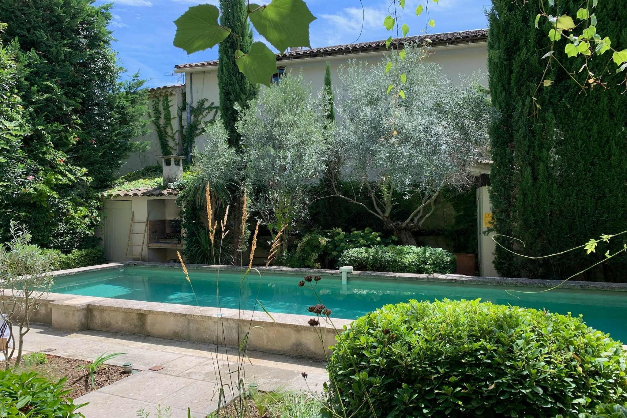 Mas Maillane demeure du XVIIIe entièrement rénové-Swimming pool