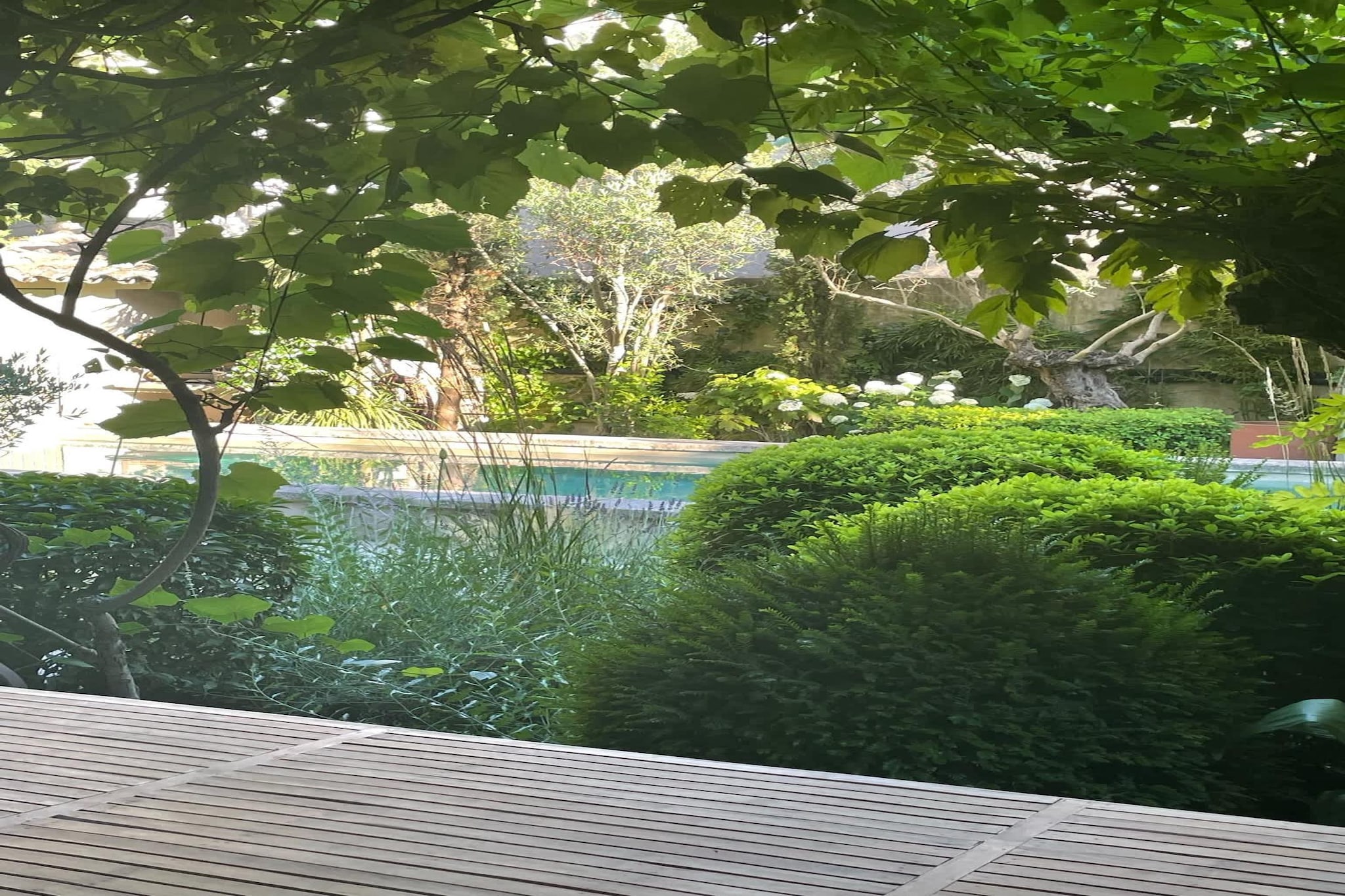 Mas Maillane demeure du XVIIIe entièrement rénové-Swimming pool