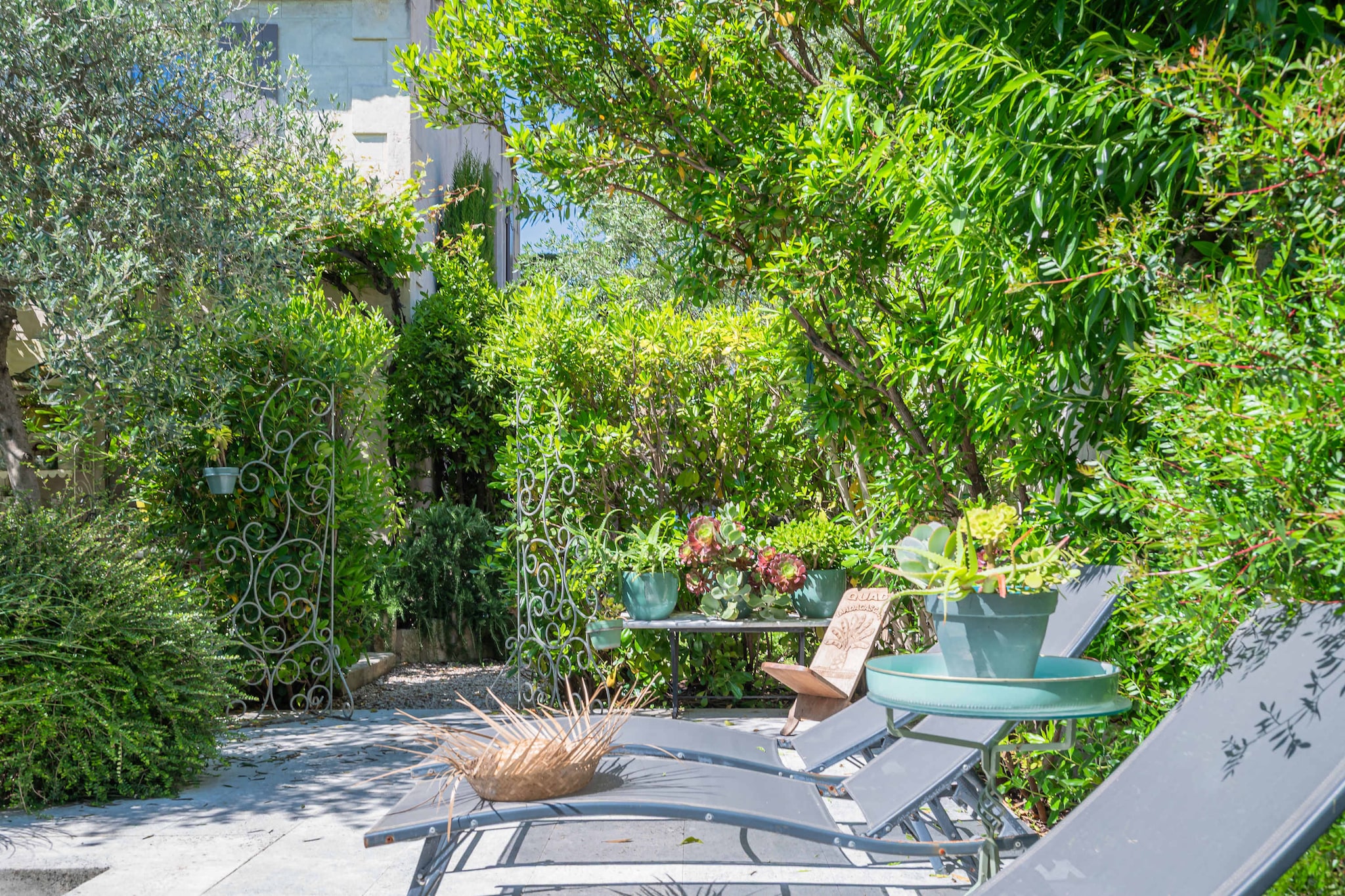 Mas authentique à Paradou Alpilles-Garten Sommer