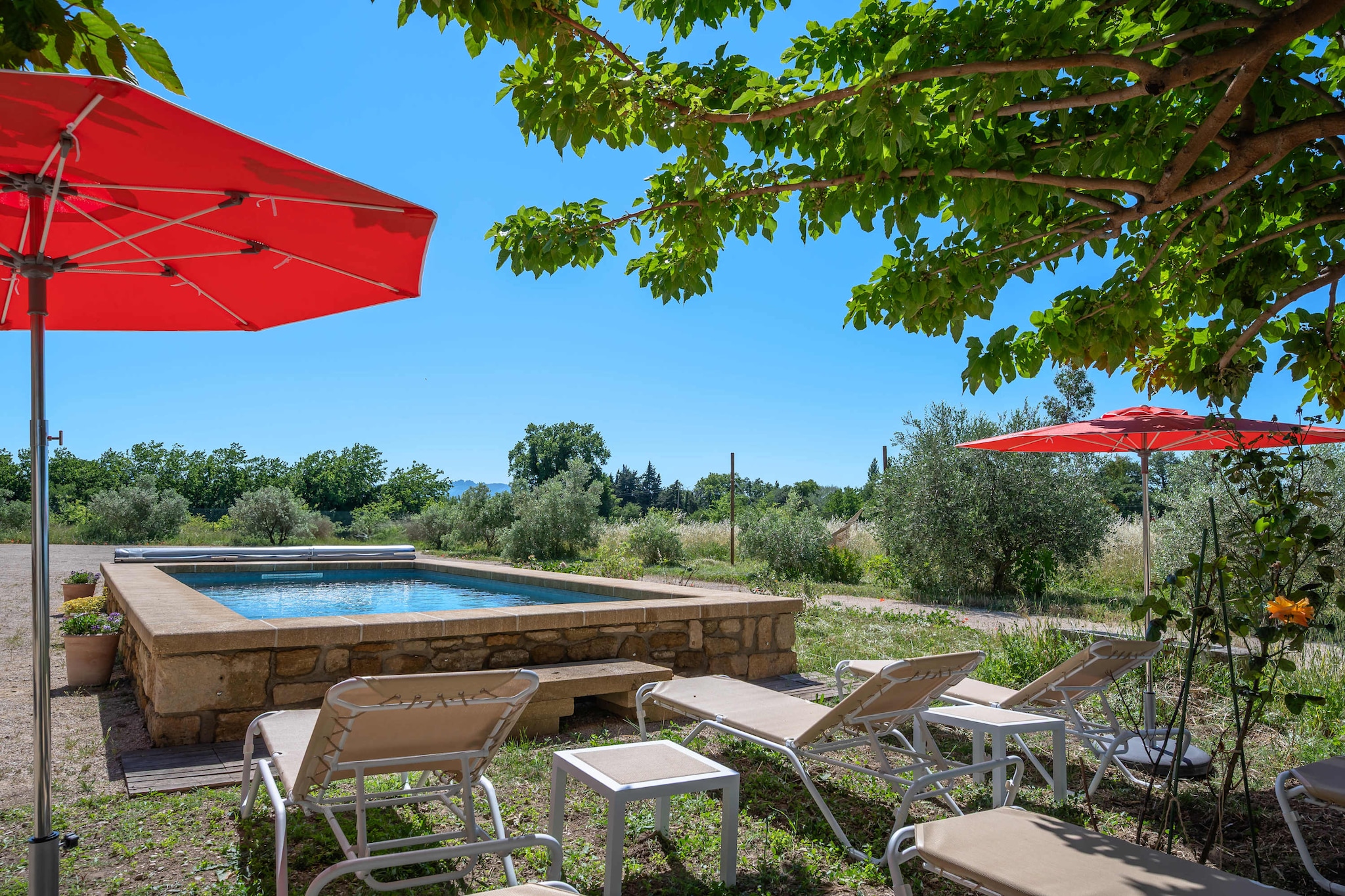 Mas du Mûrier-Zwembad