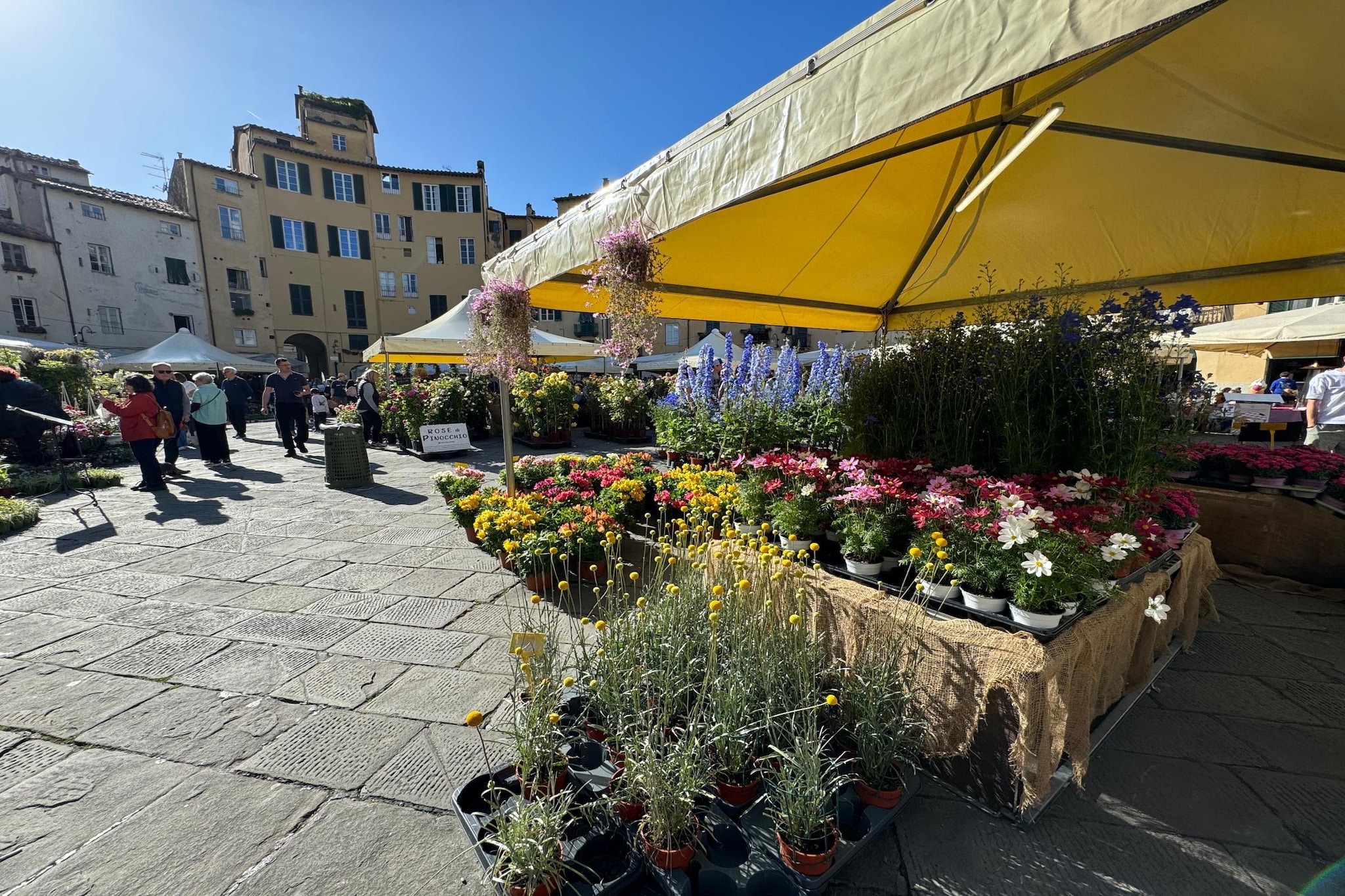 Anna Lucca Centro - Gebiete Sommer 1 km
