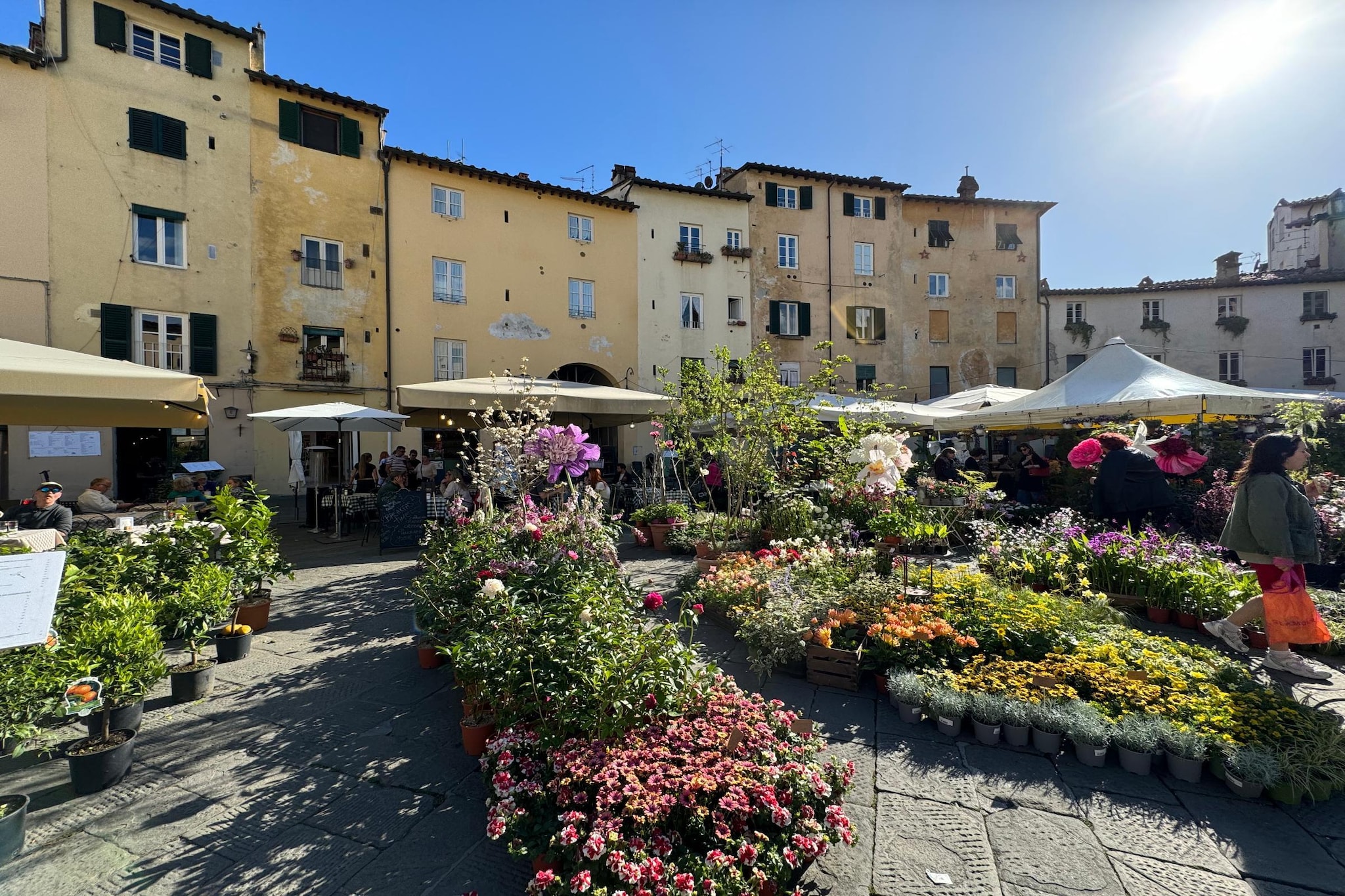 Anna Lucca Centro - Gebiete Sommer 1 km