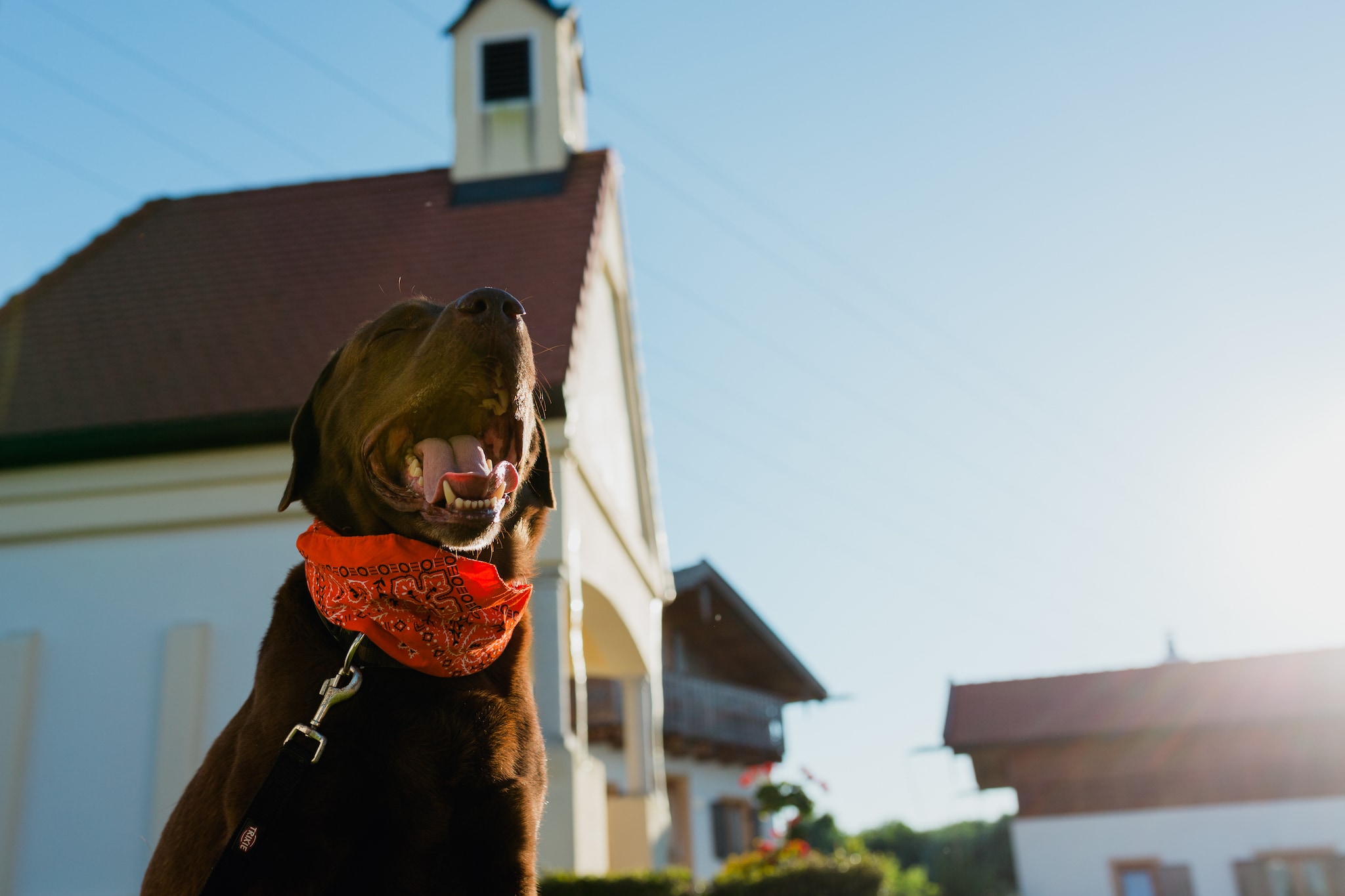 Vital Ferienhaus-Gebiete Sommer 1 km